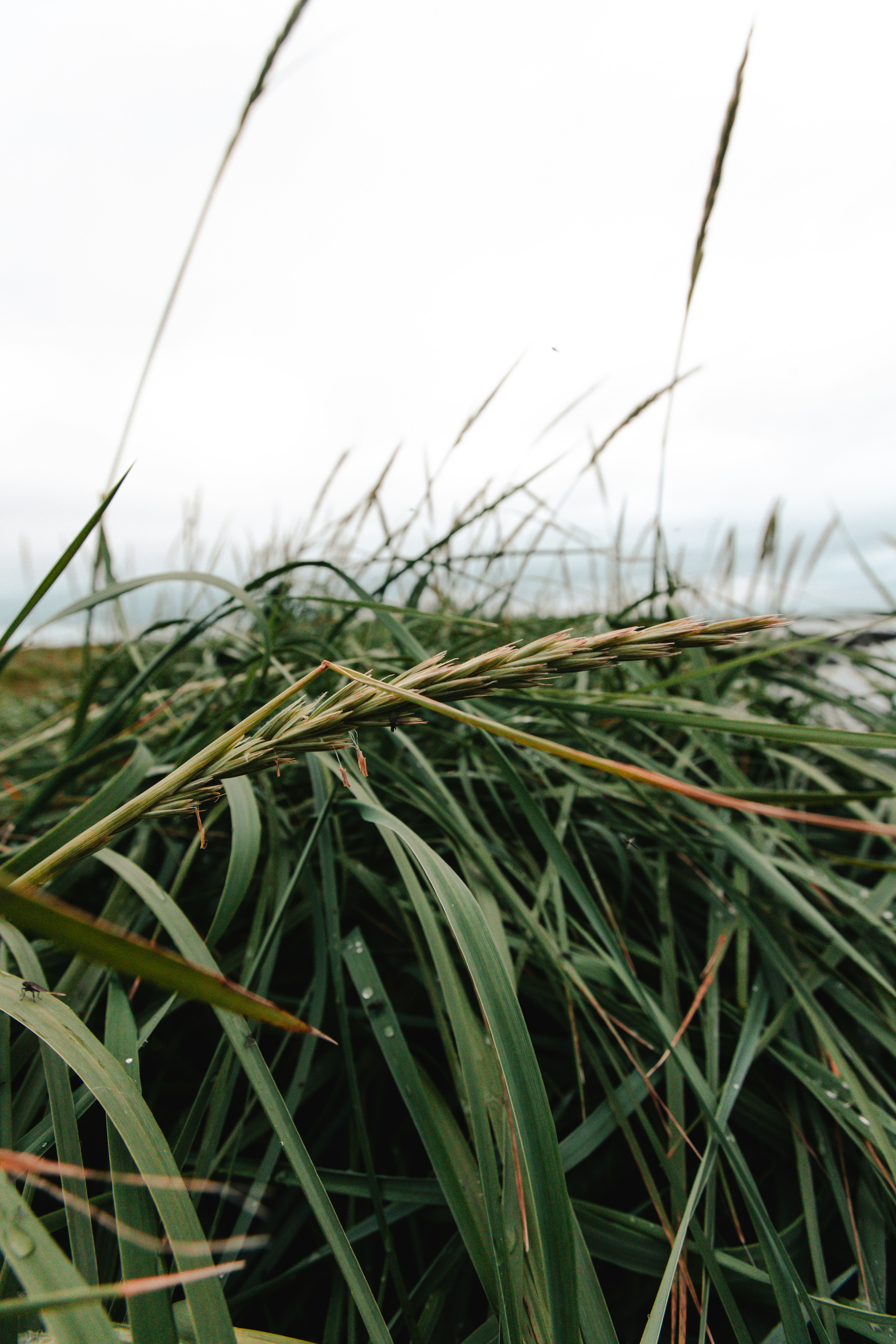 Photo by andrew_creative