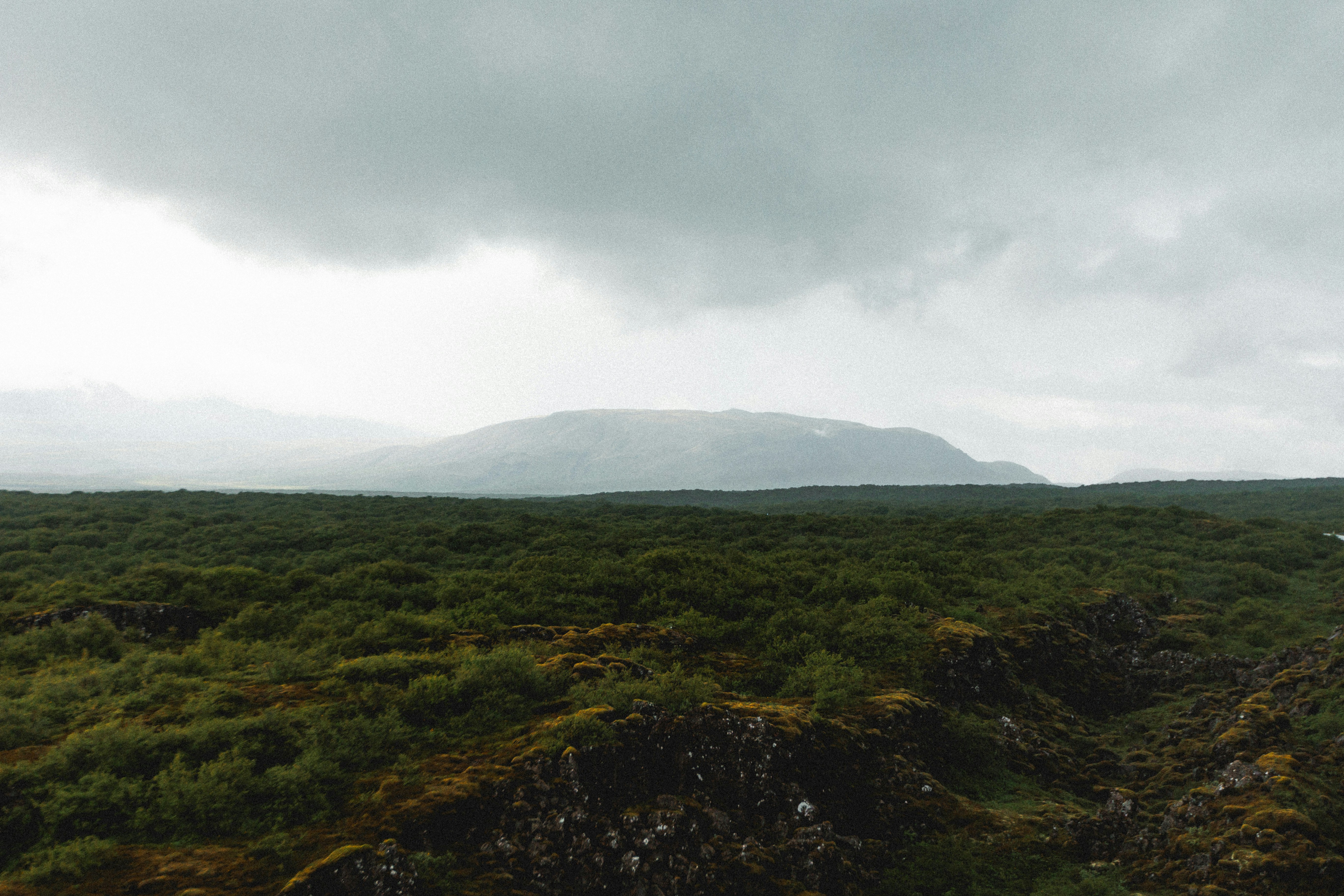 Photo by andrew_creative