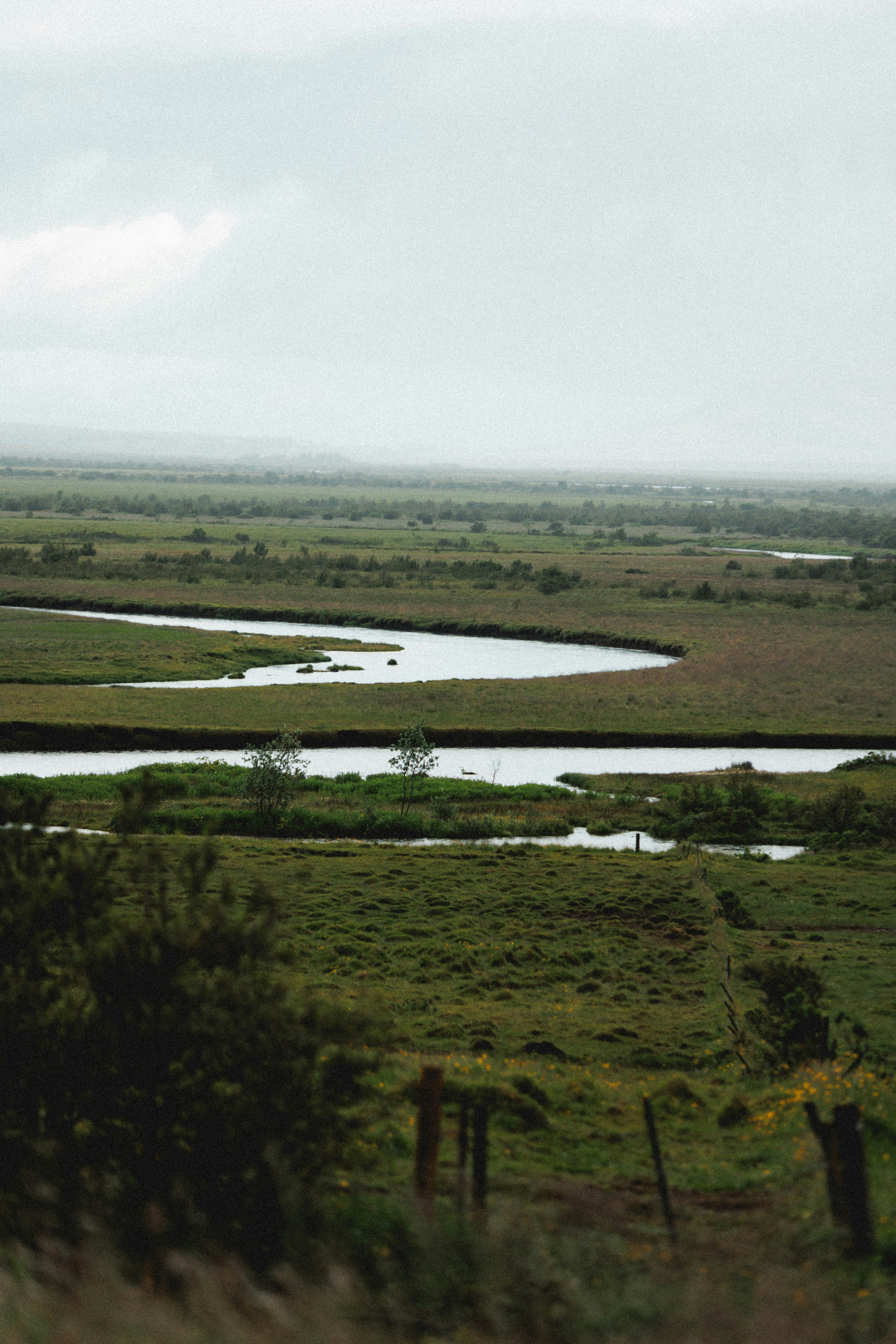 Photo by andrew_creative