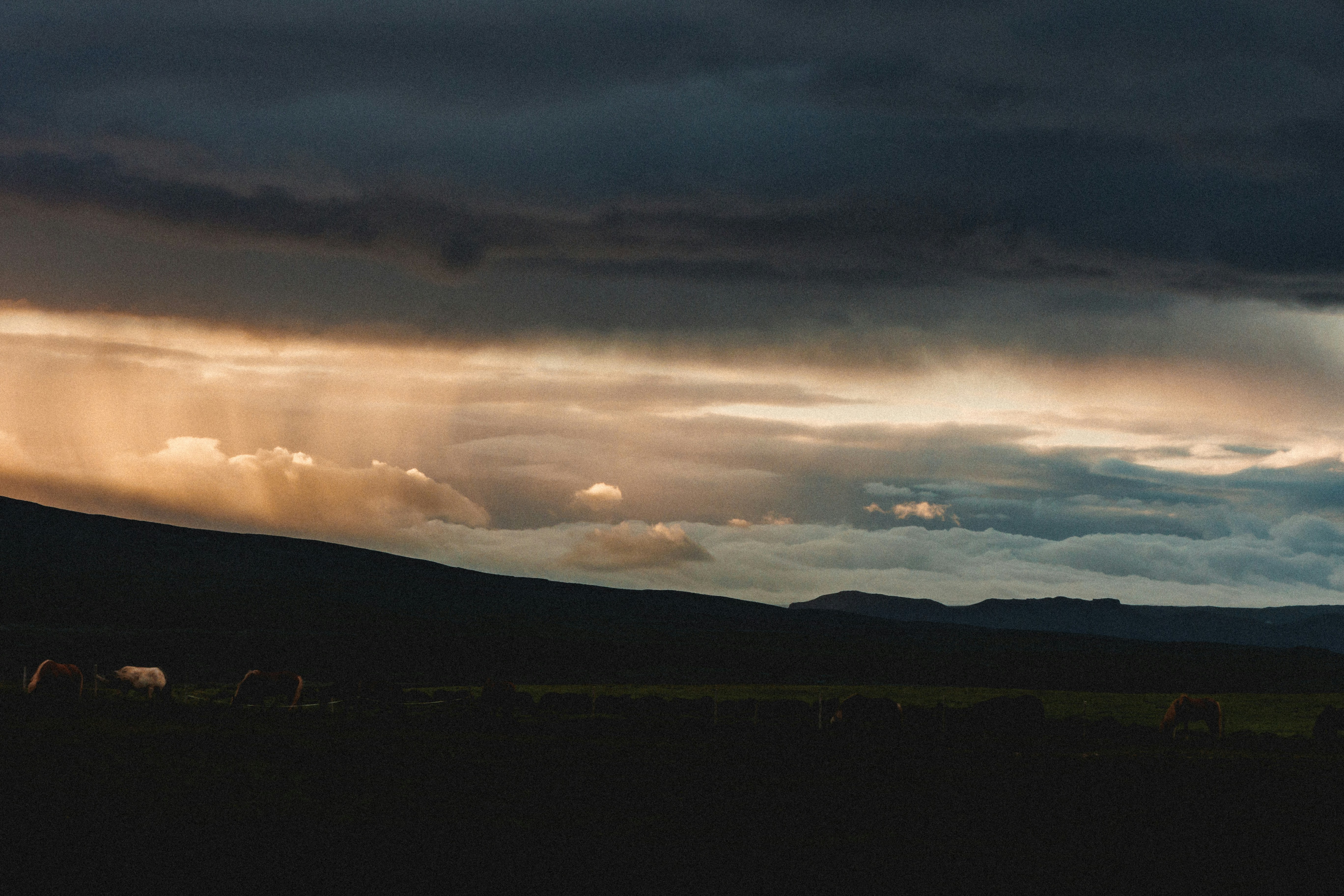 Photo by andrew_creative