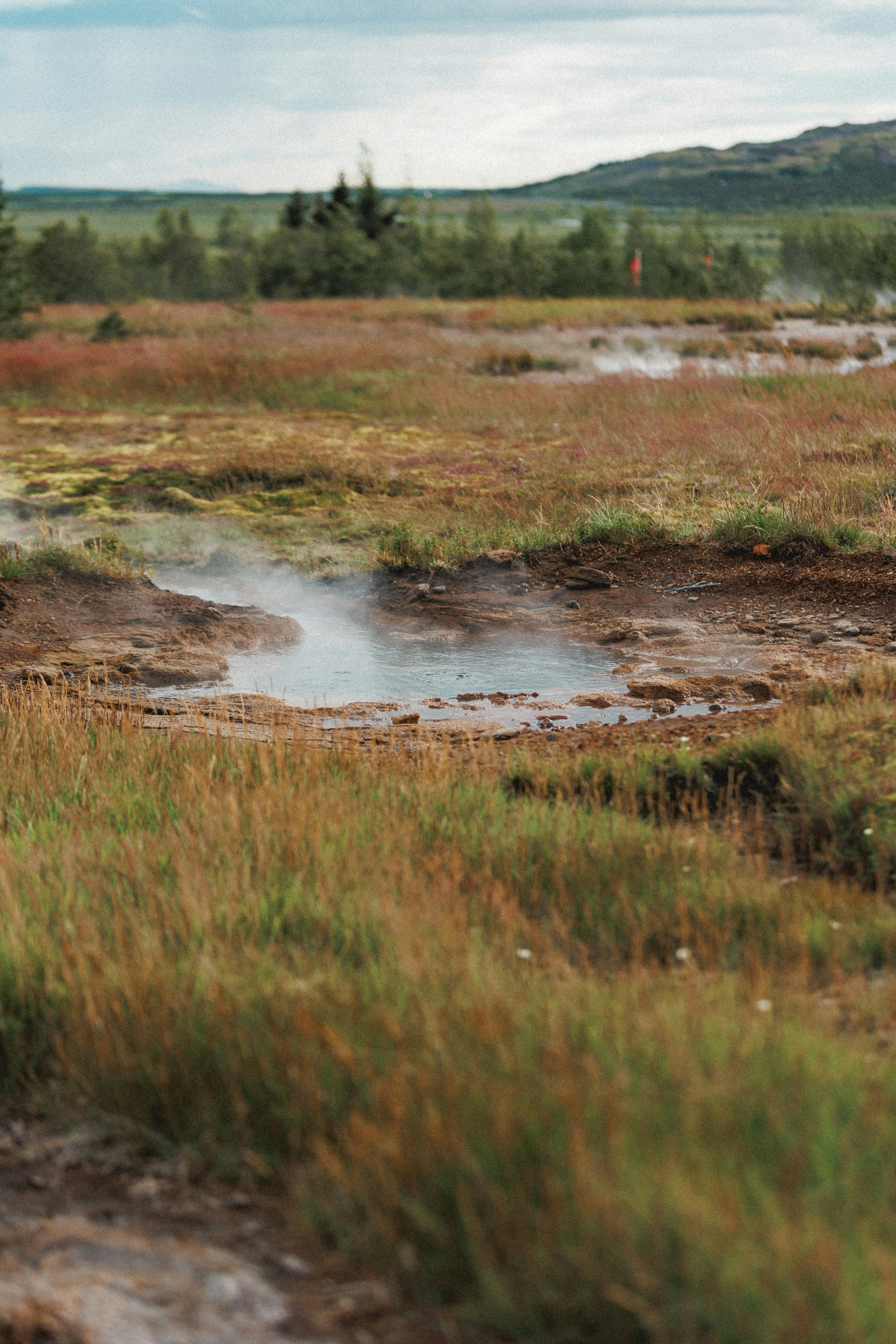 Photo by andrew_creative