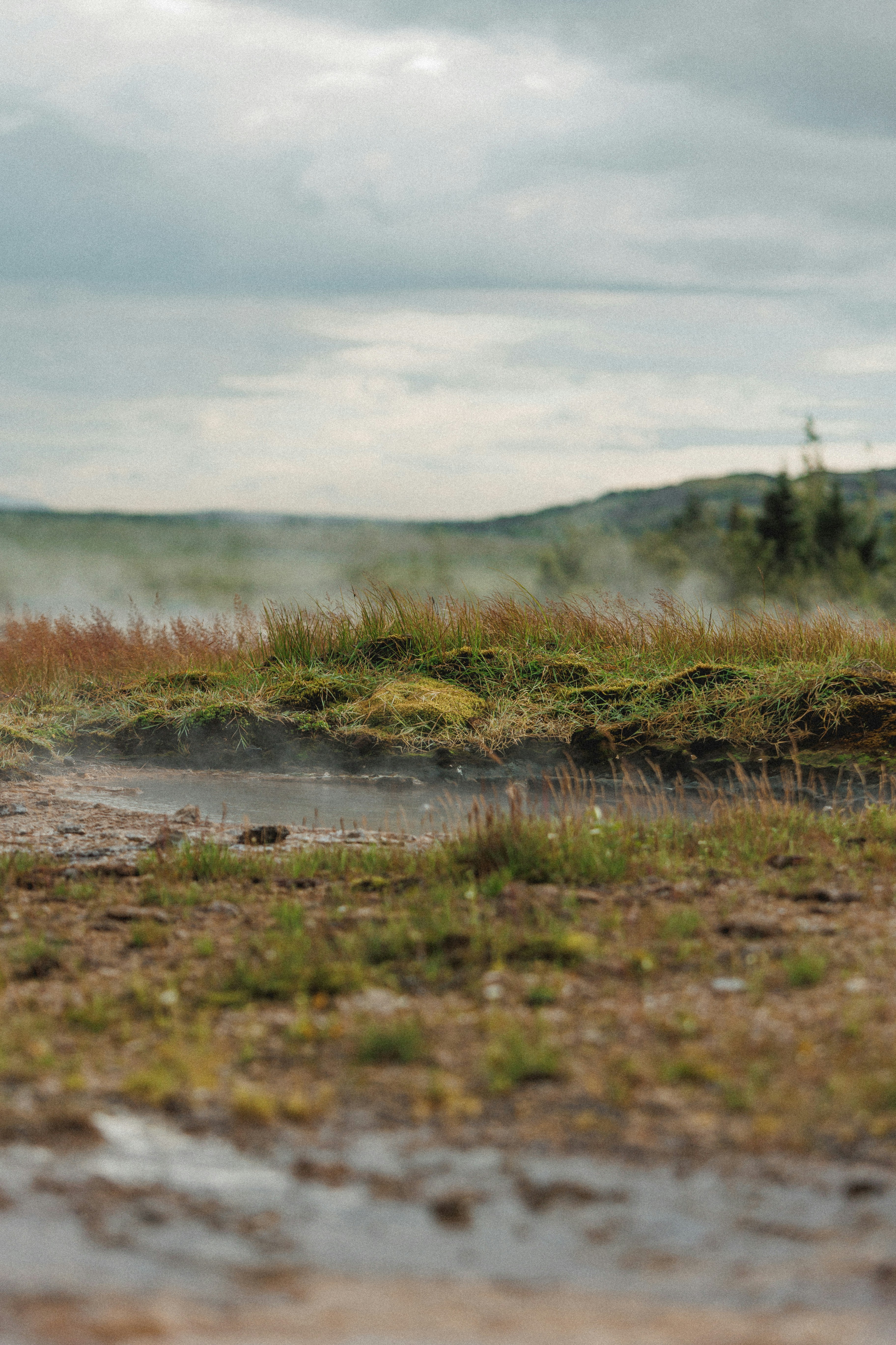 Photo by andrew_creative