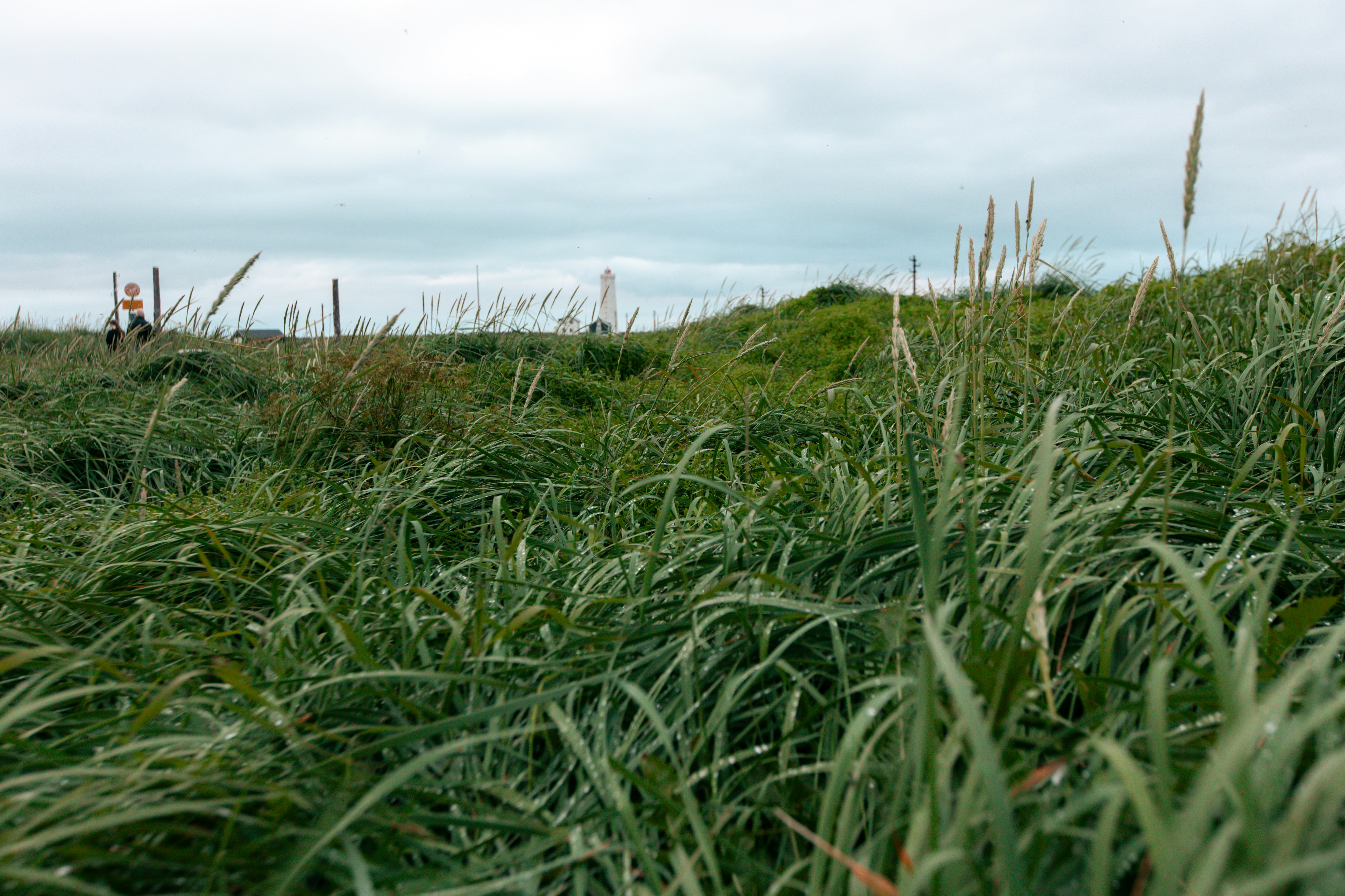 Photo by andrew_creative