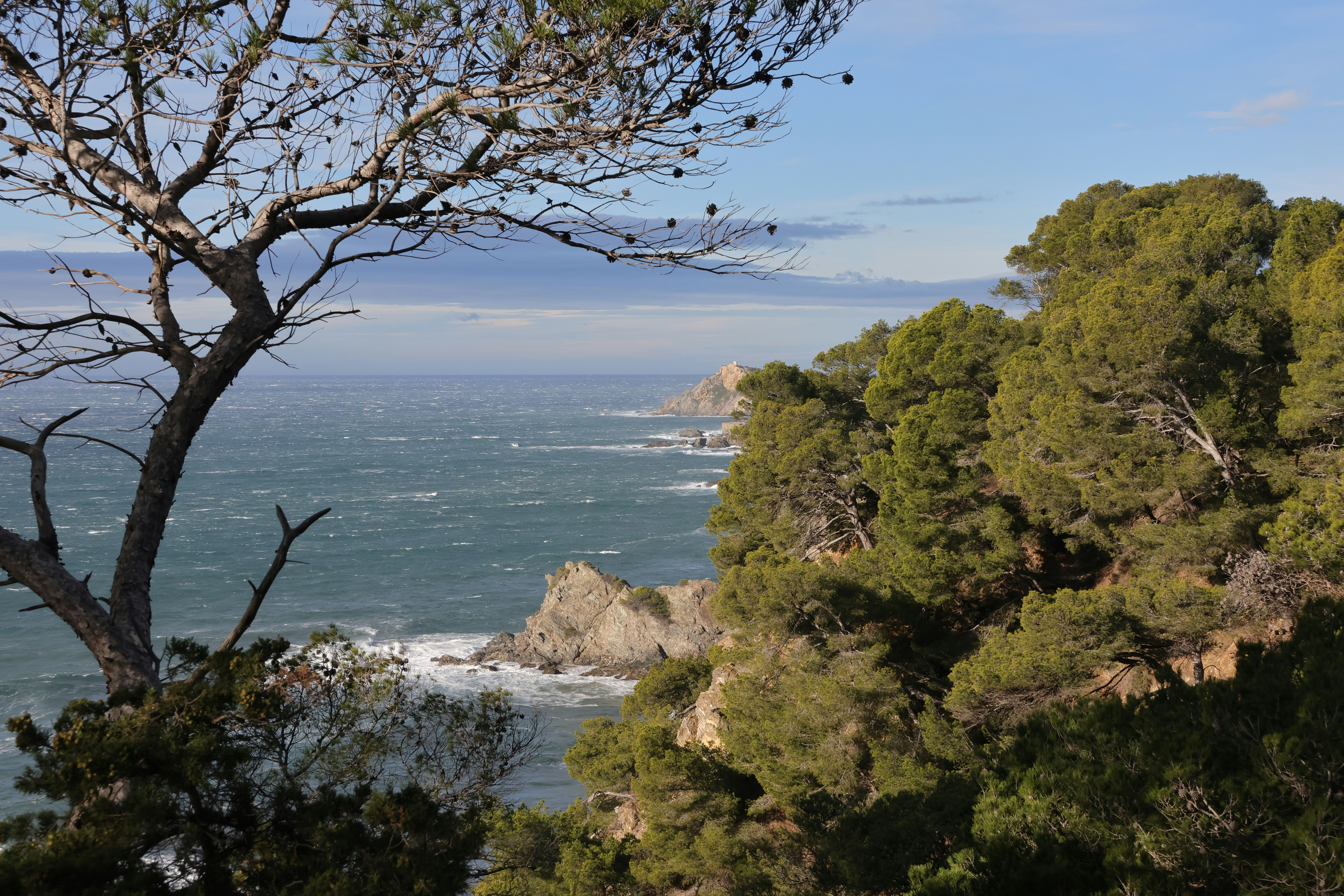 Photo by oliver_tyser