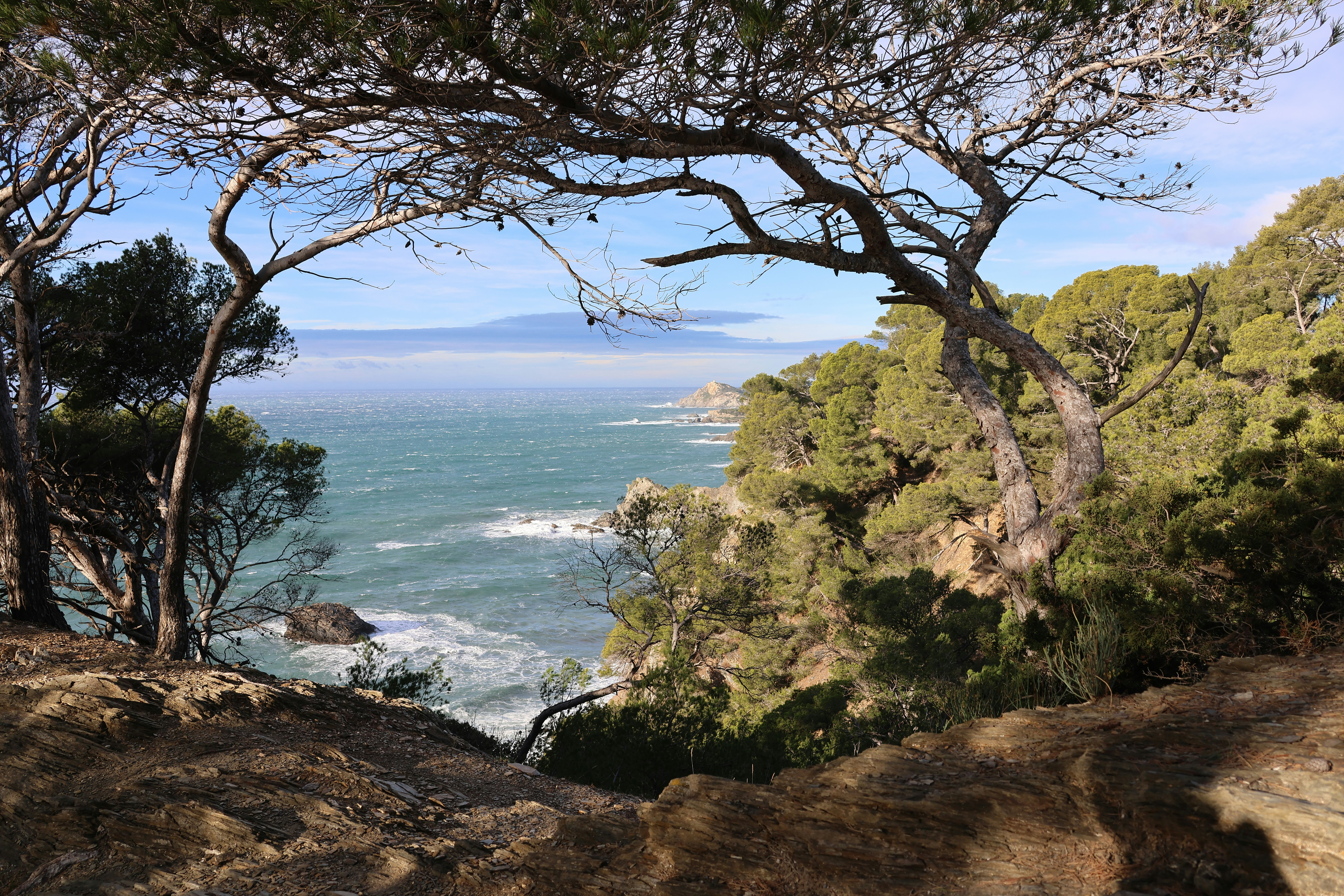 Six-Fours-Les-Plages sur la côte méditerranéenne du Var dans le sud de la France