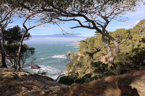 A view of the ocean from the top of a hill