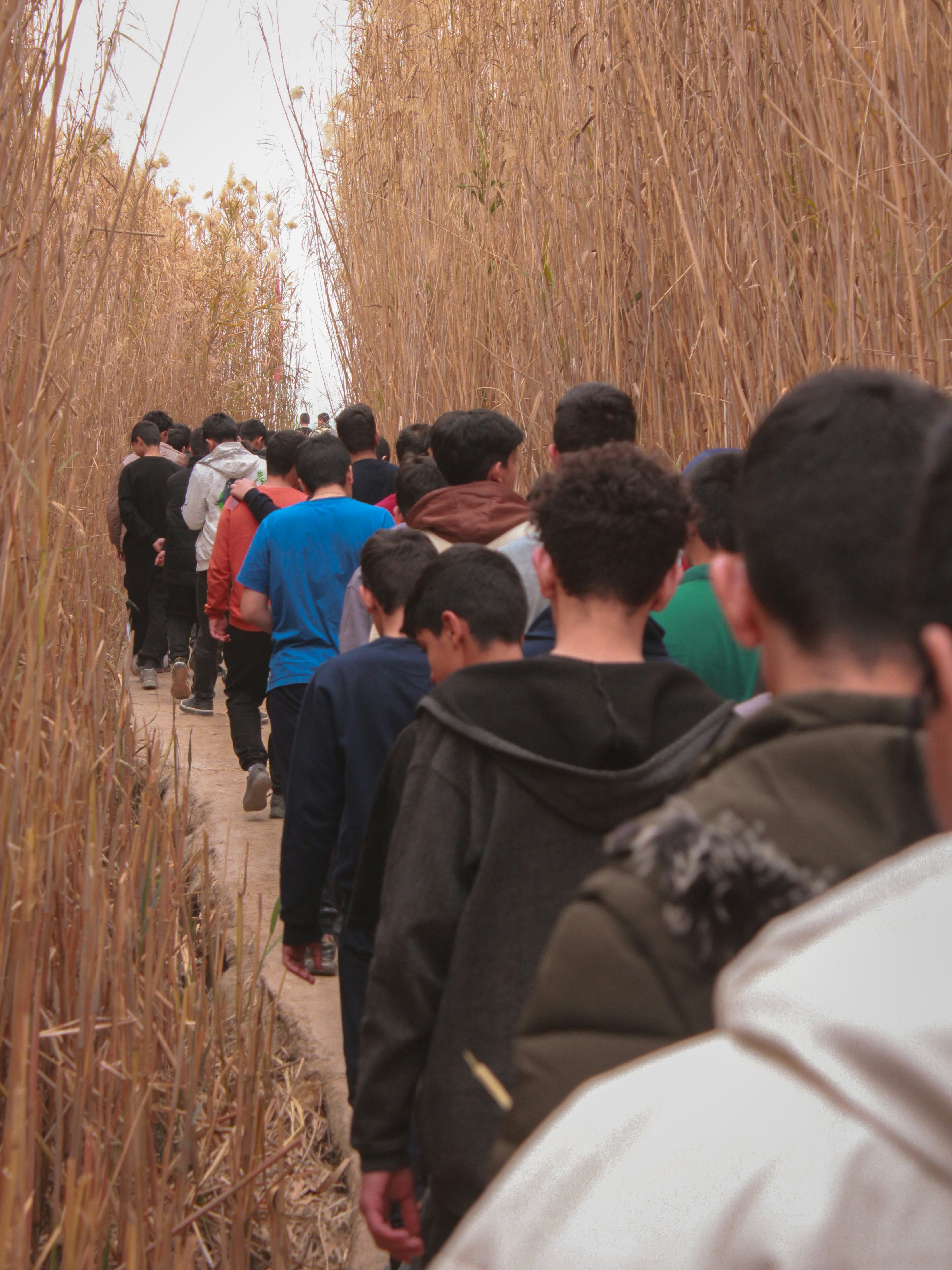 A group of people walking down a path through tall grass