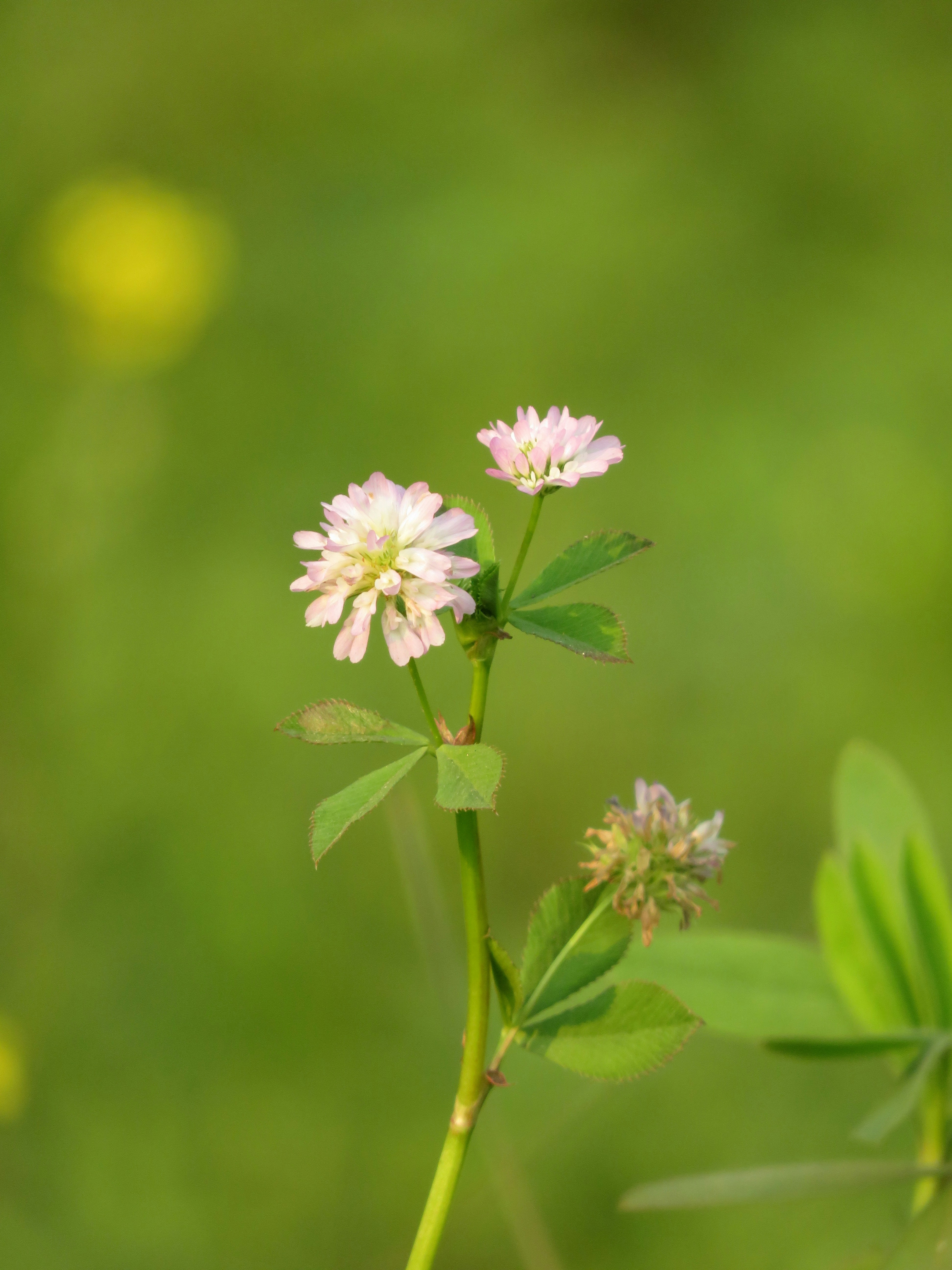 Photo by himanshu5896