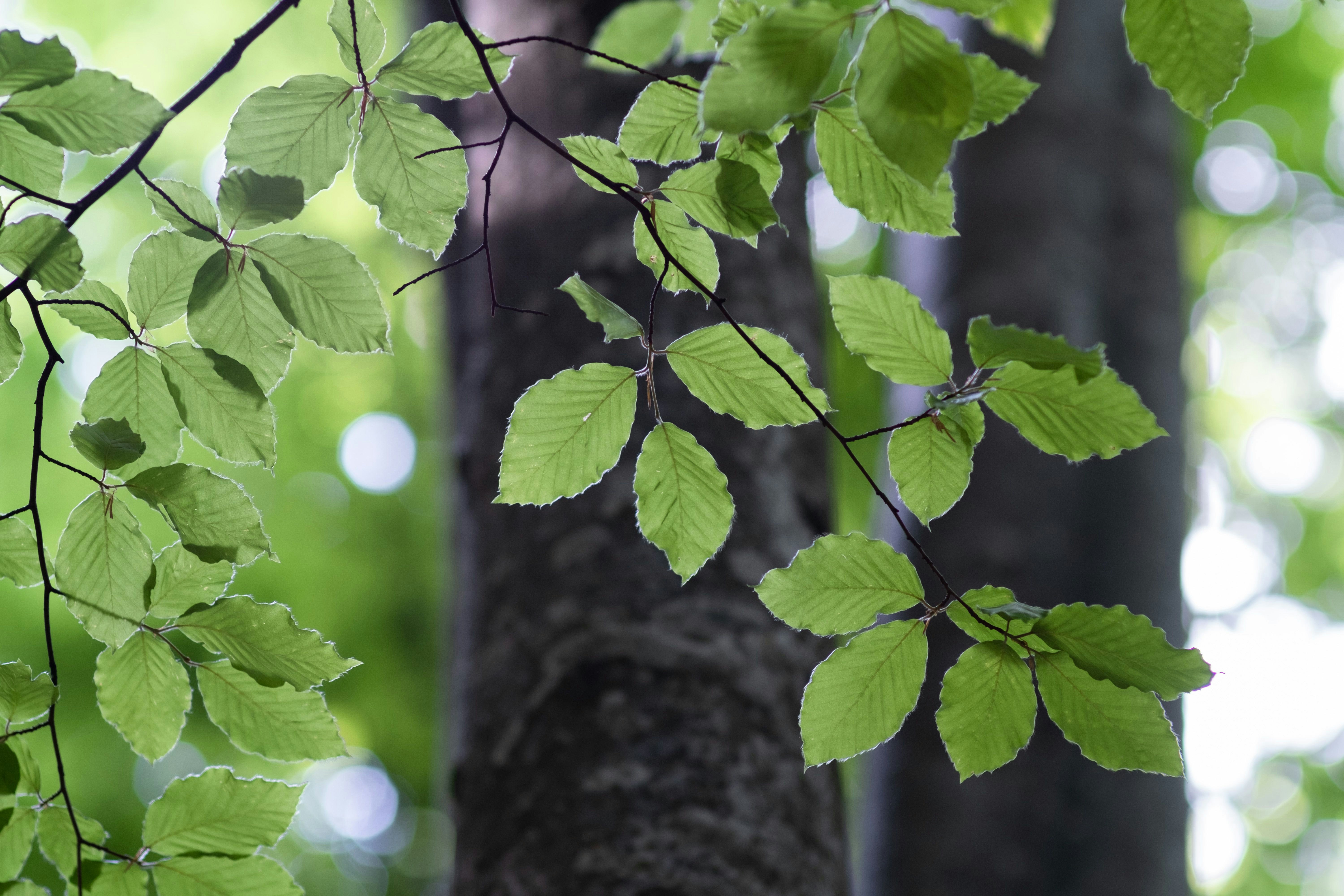 Photo by sevencolors