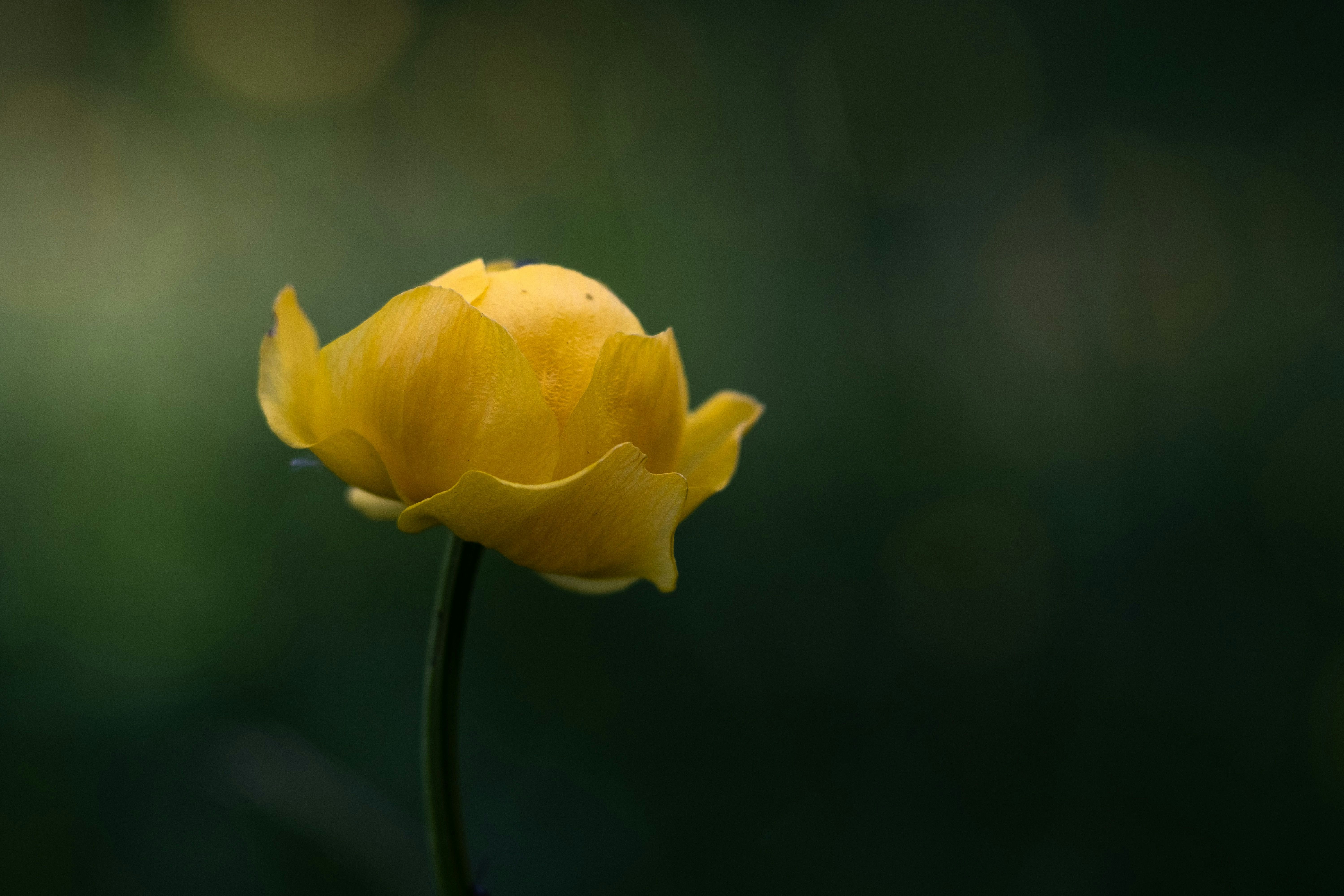 Photo by sevencolors