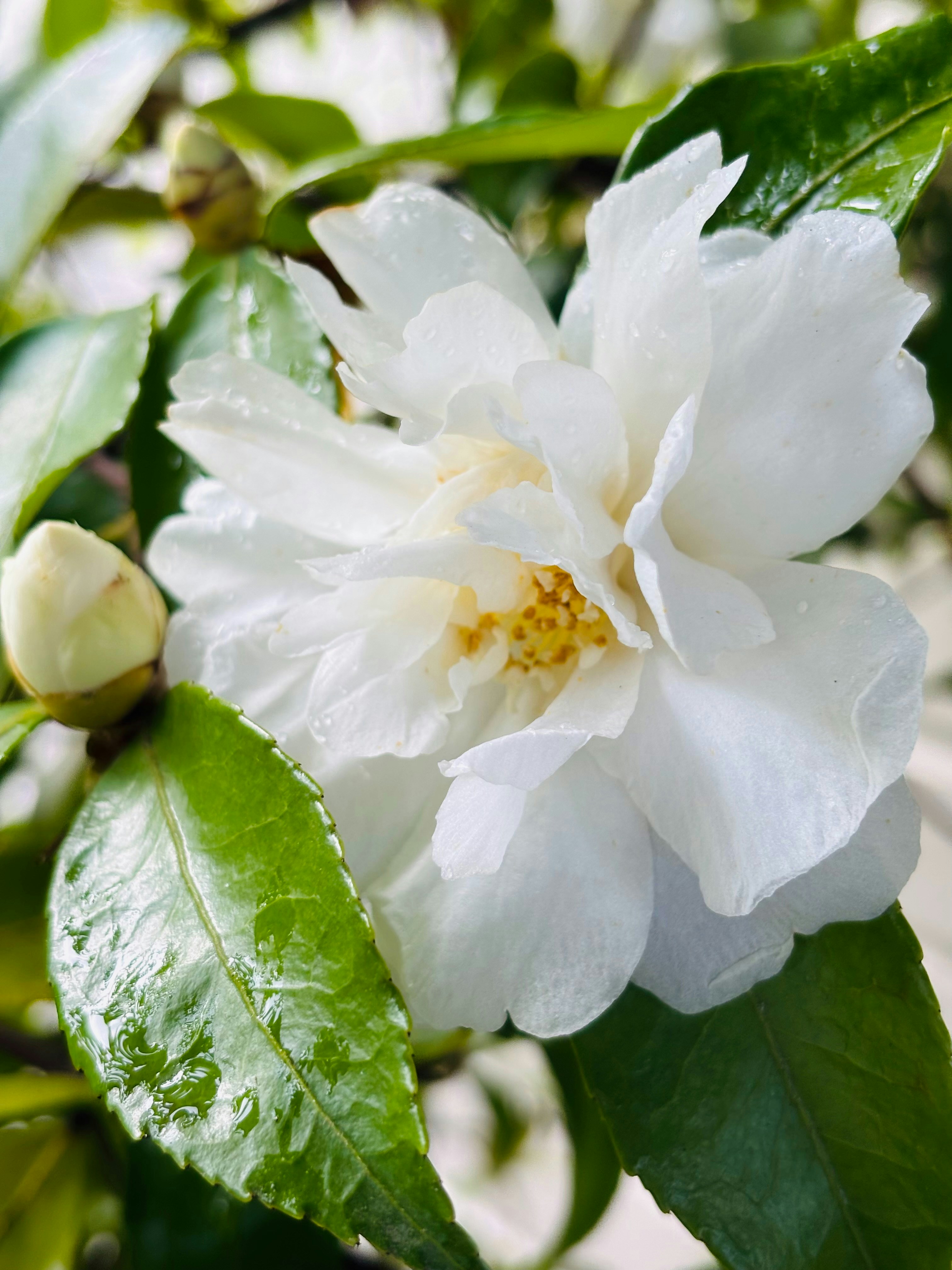 Photo by memorylane2