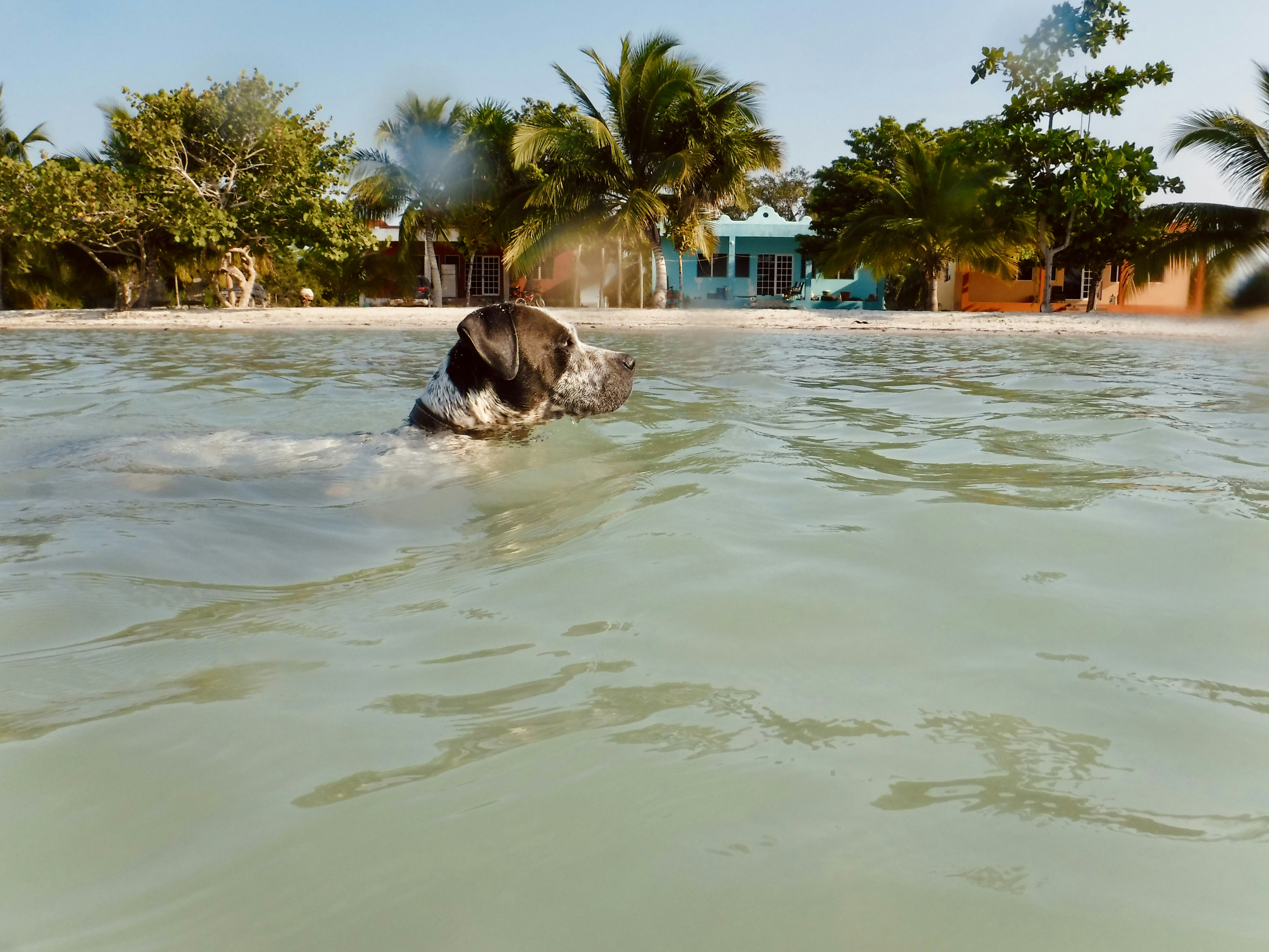 Stay online in the Belize with a prepaid eSIM from eSIMlii. Instant activation, no roaming charges, and reliable coverage.