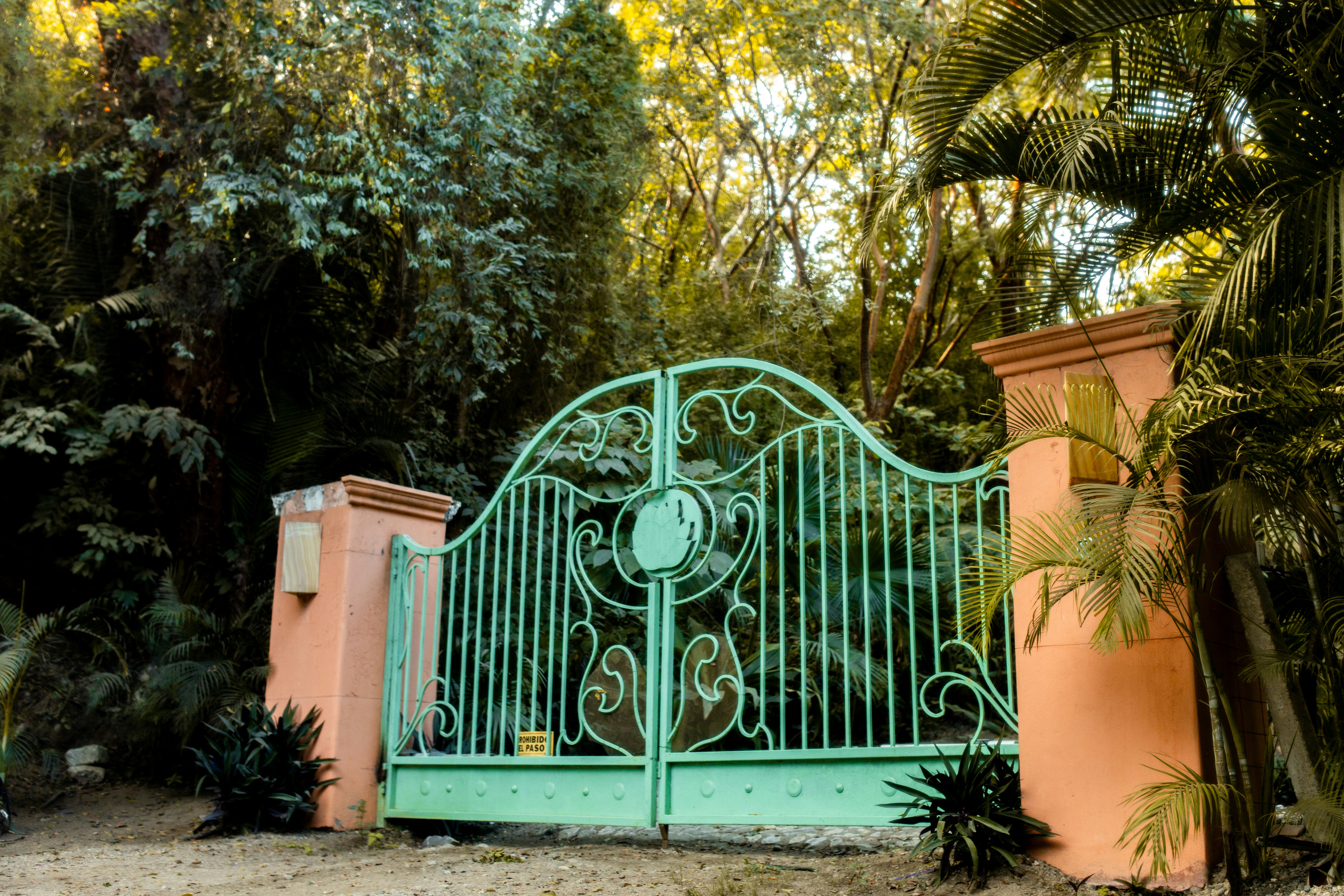 Dominica E-Gate Entry 2026: Digital Immigration Guide