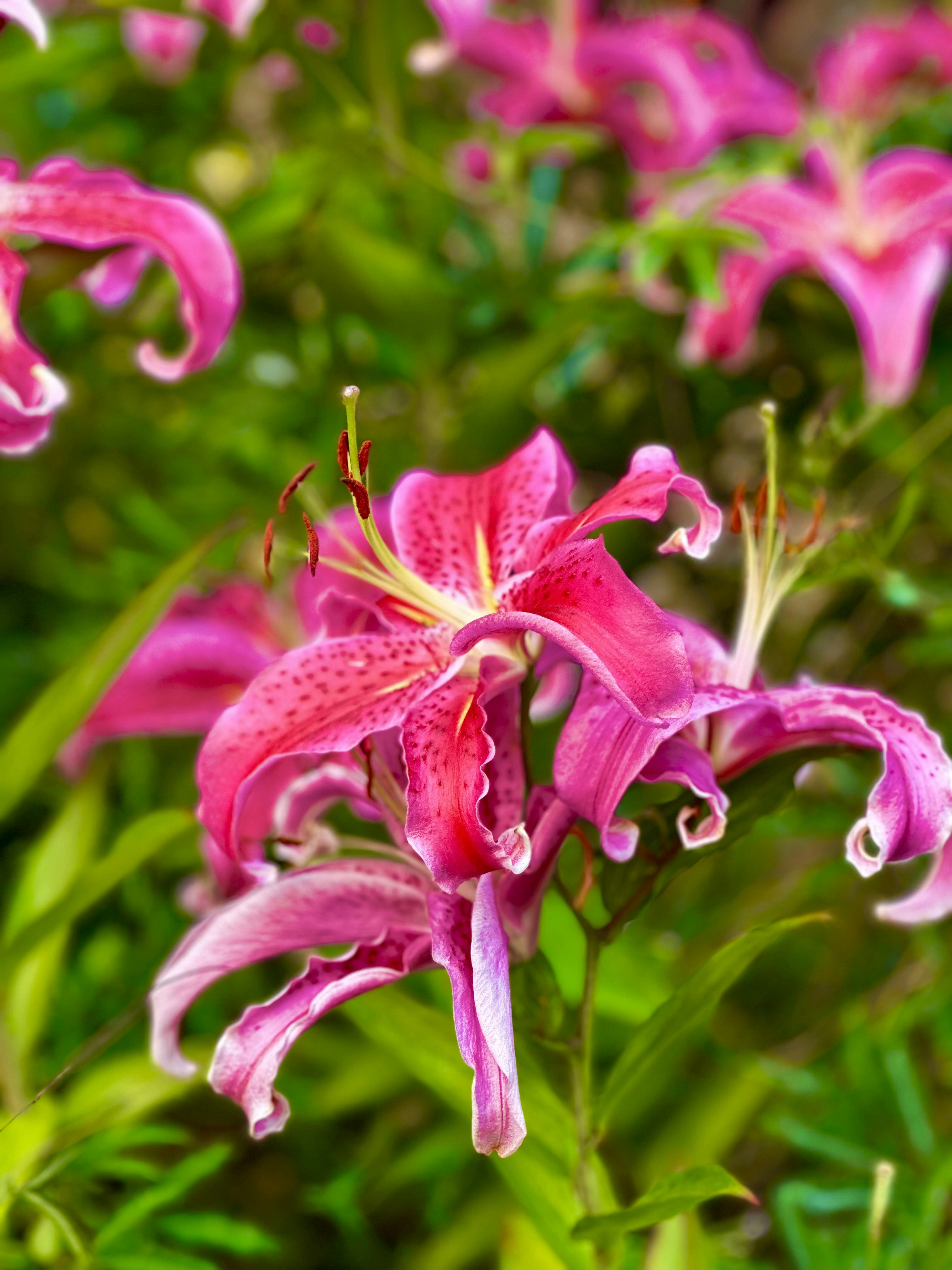 Photo by zavs_studio