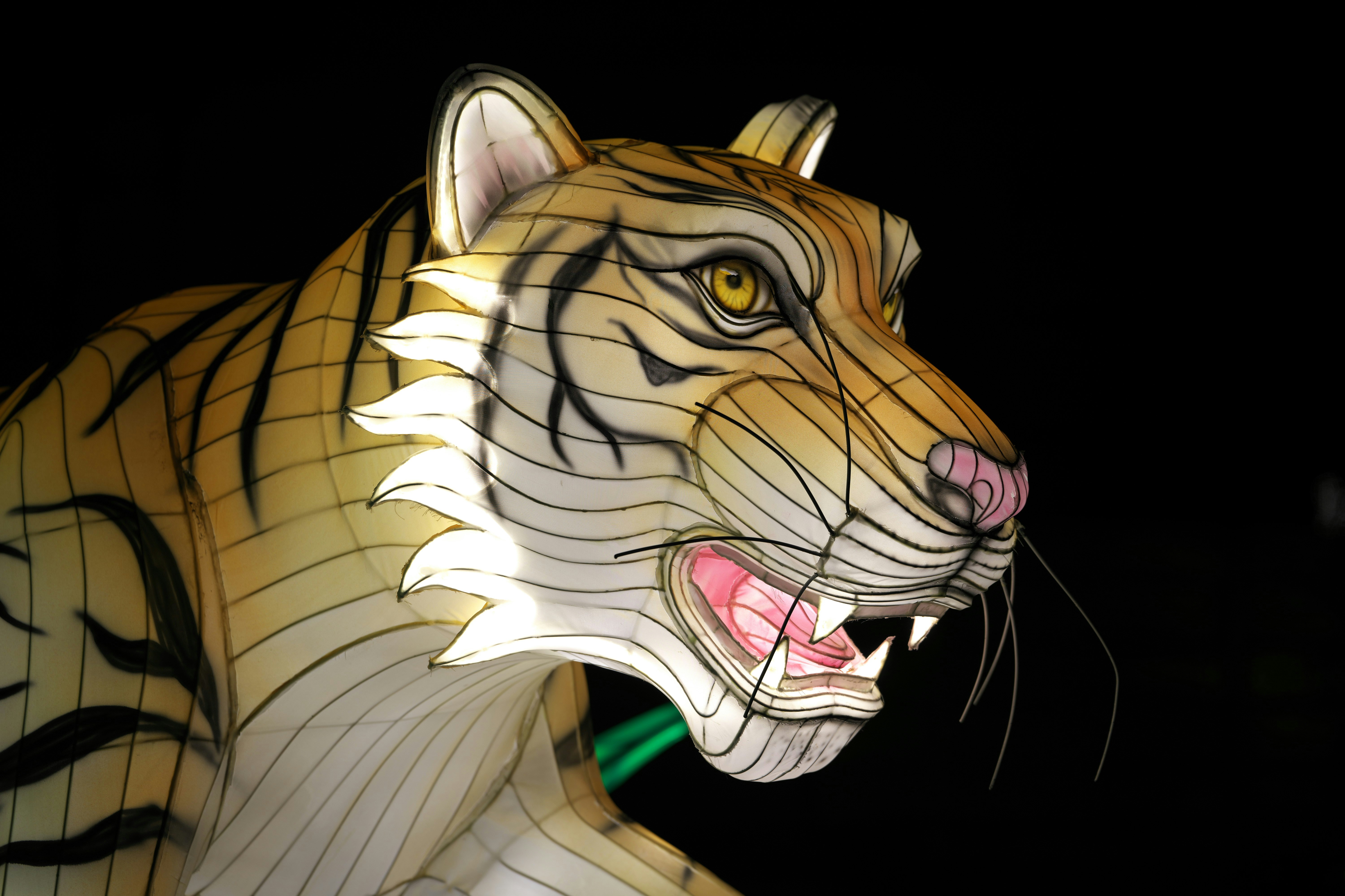 A paper mache of a tiger with a toothbrush in its mouth