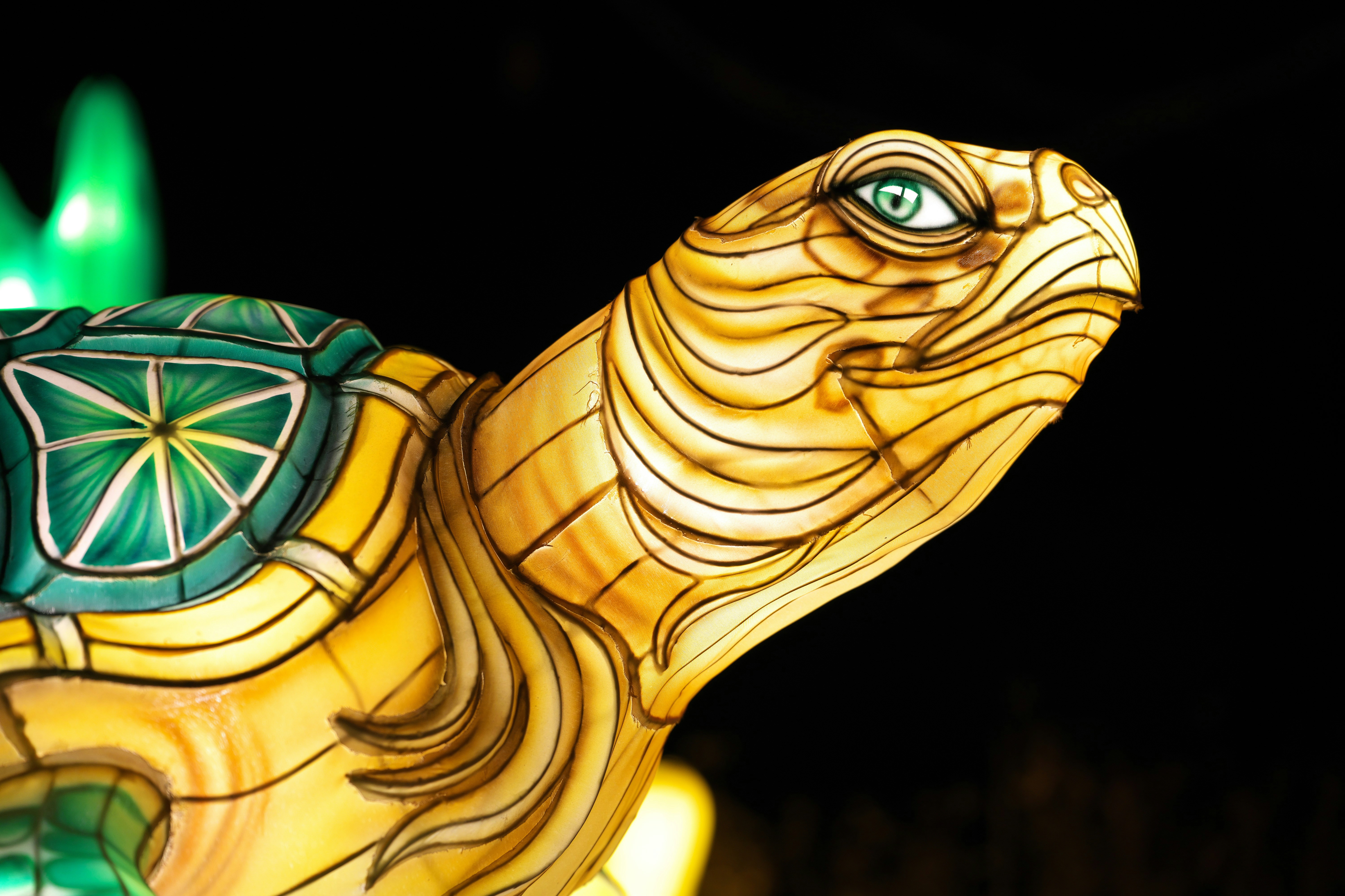 A close up of a lit up turtle statue
