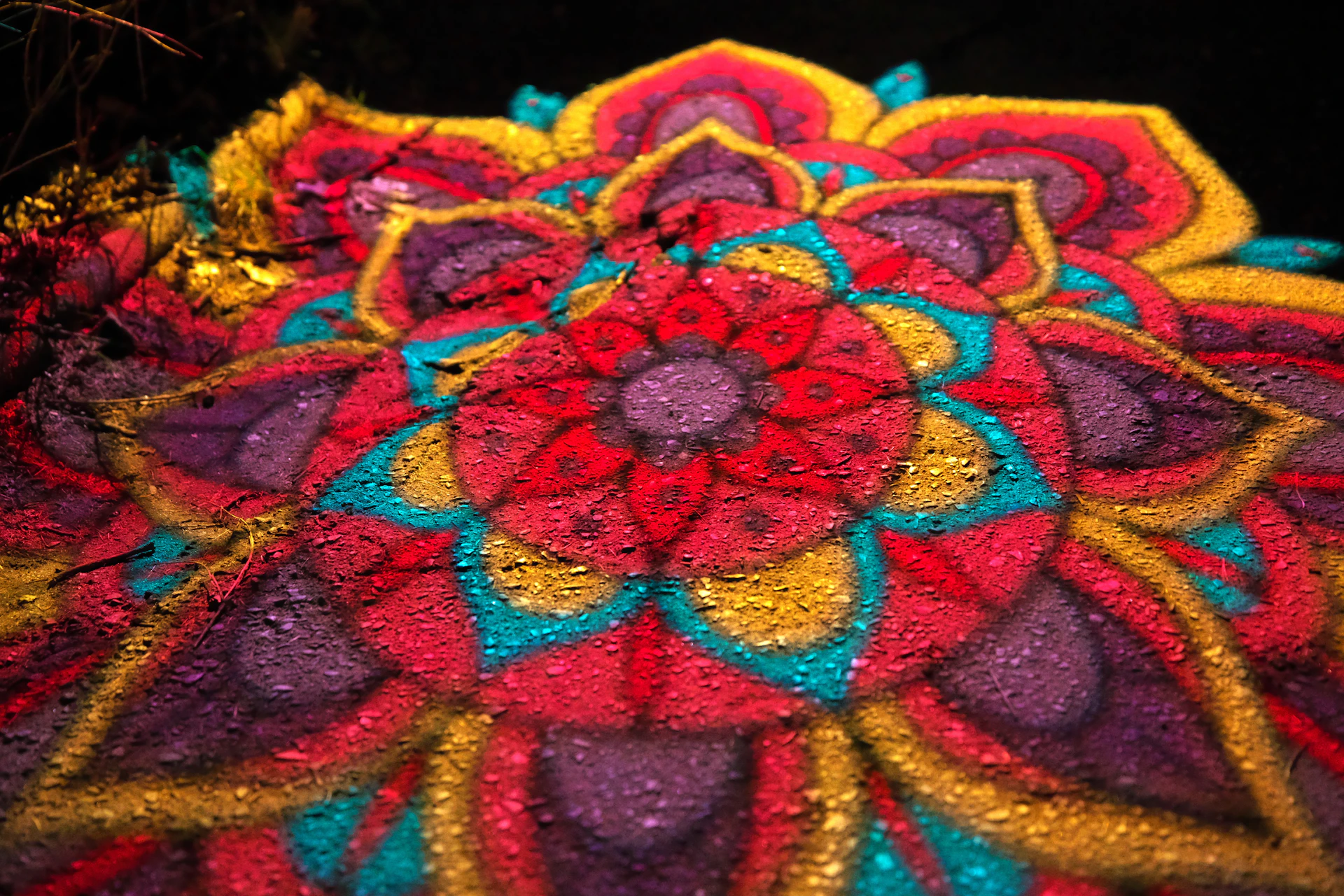 A close up of a colorful object on the ground