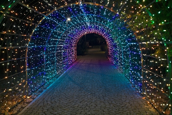 A tunnel of lights in the middle of a road