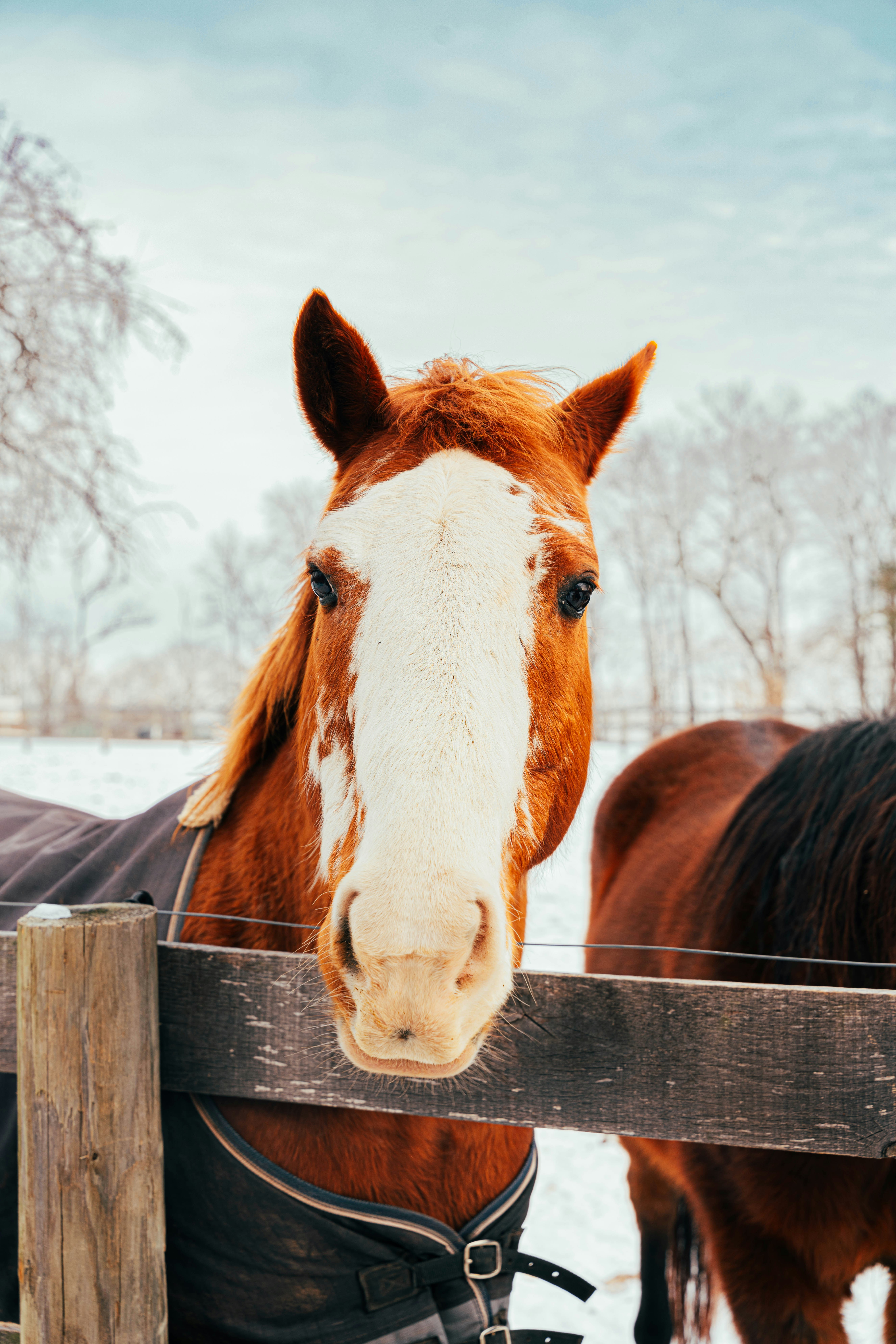 Photo by nellie_adamyan