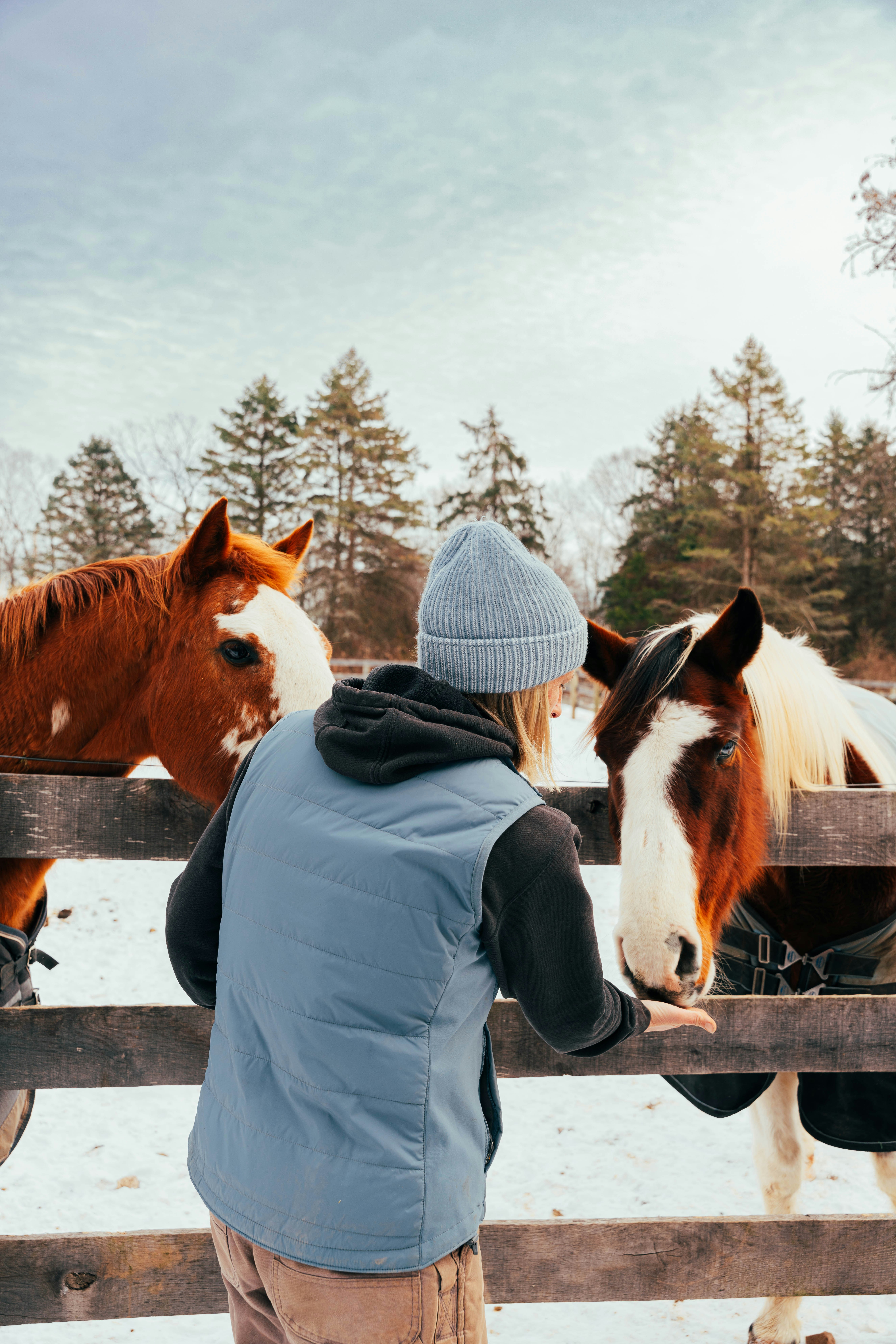 Photo by nellie_adamyan