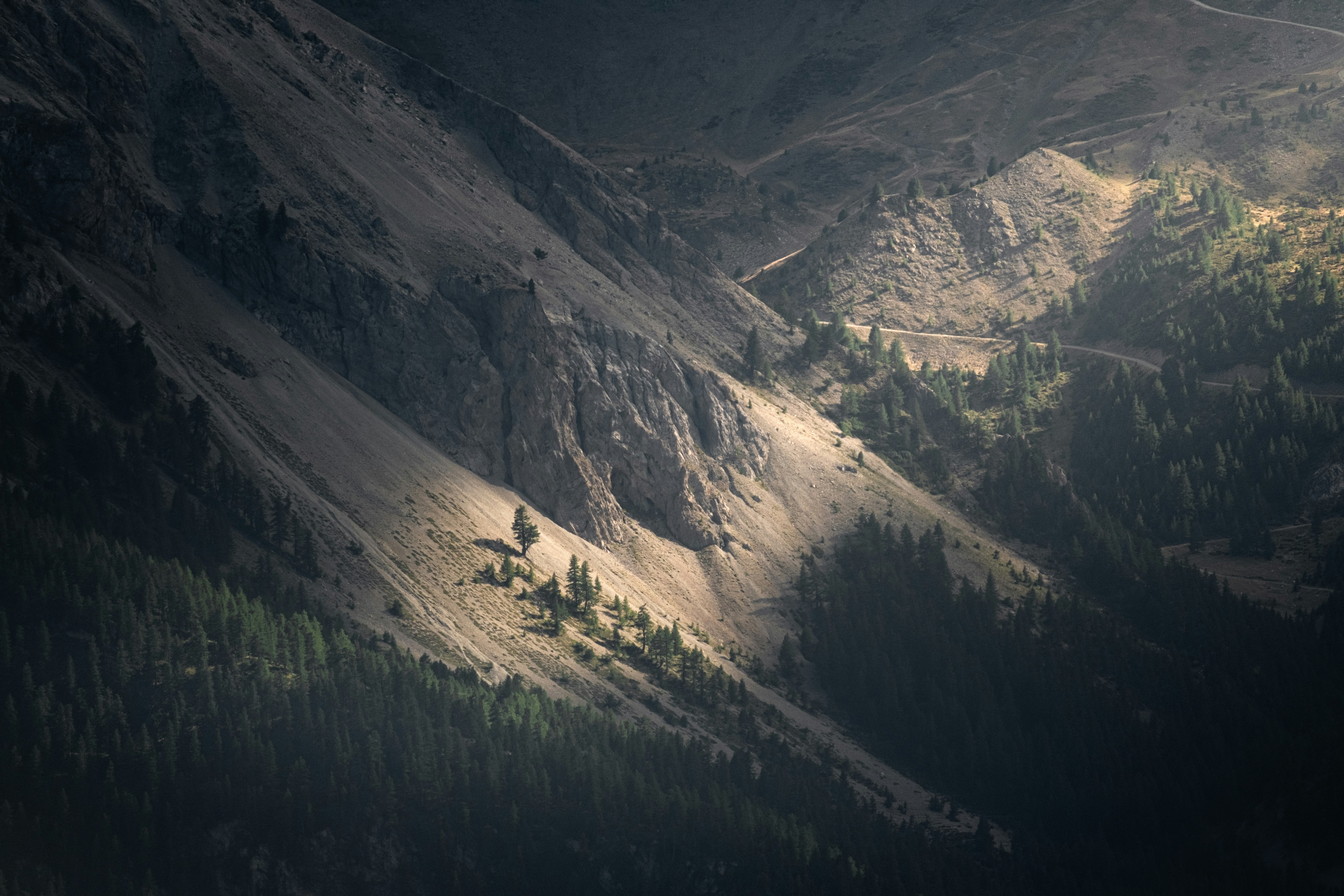 Photo by flousentimental