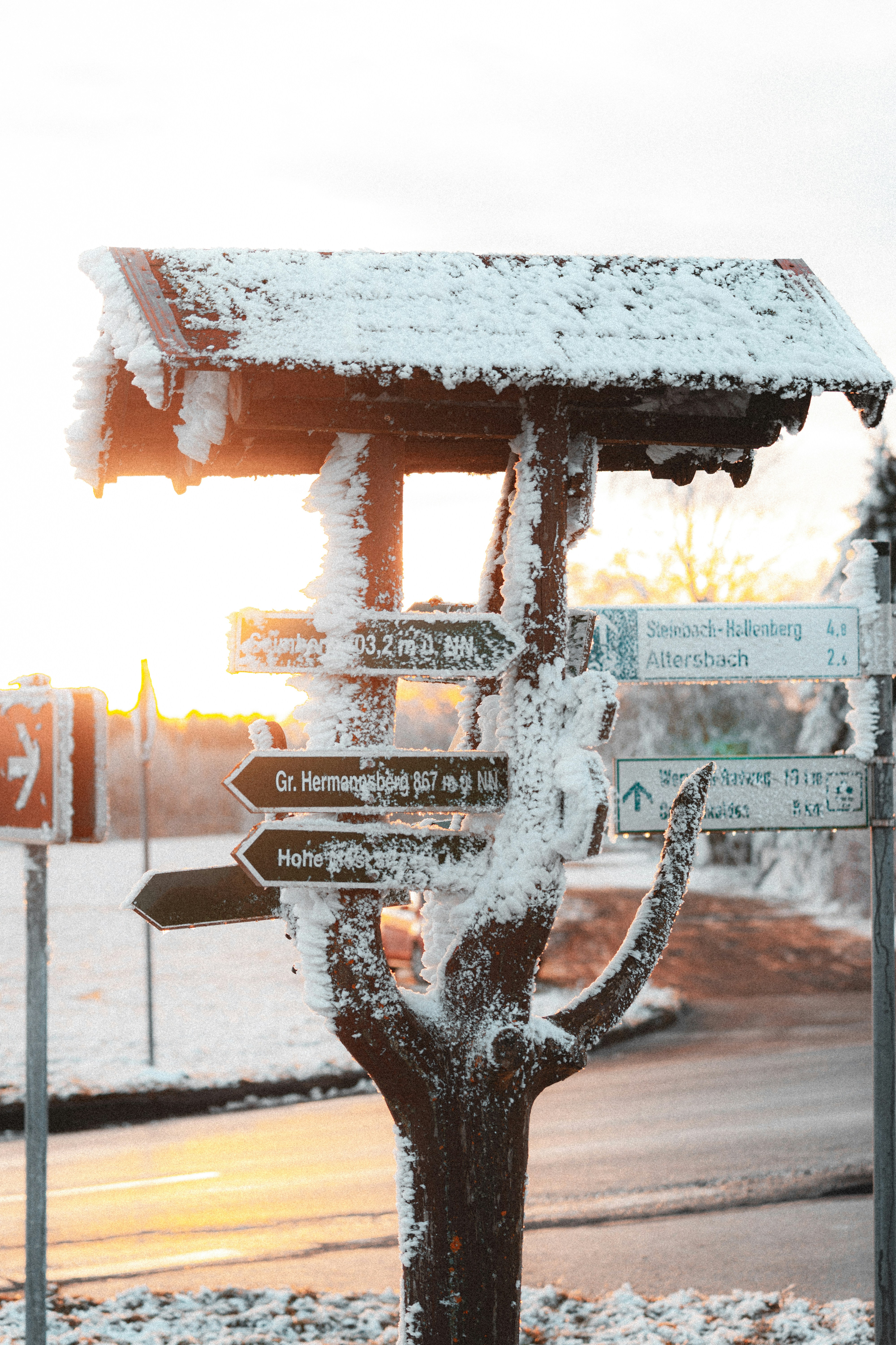 A street sign covered in snow next to a tree photo – Free Sunset Image ...