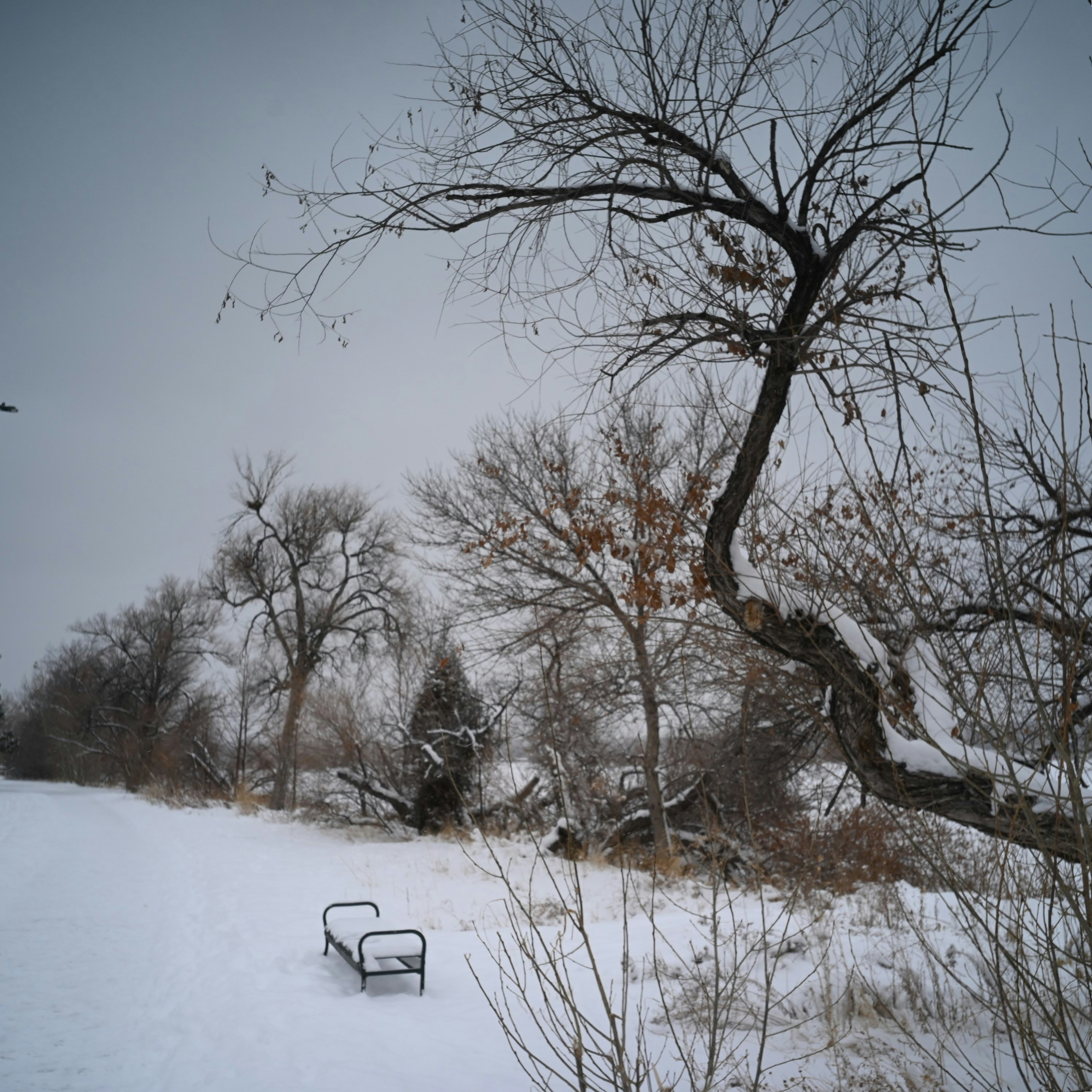 Photo by gennady107