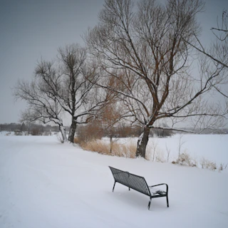 A bench sitting in the middle of a snow covered field