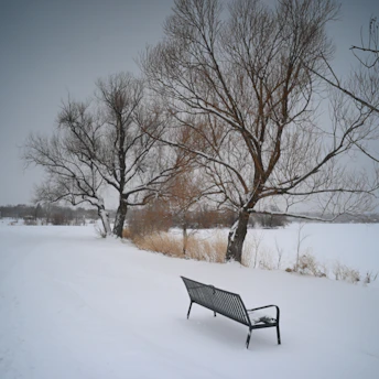 A bench sitting in the middle of a snow covered field