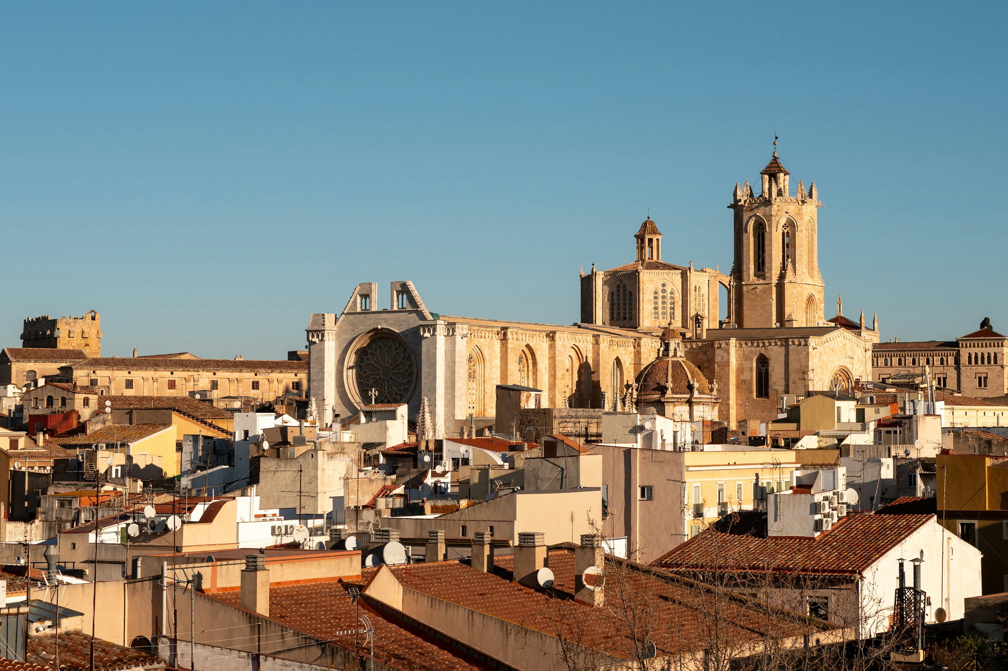 Top 30 Empresas de Servicios de Software de Negocios Profesionales en Tarragona