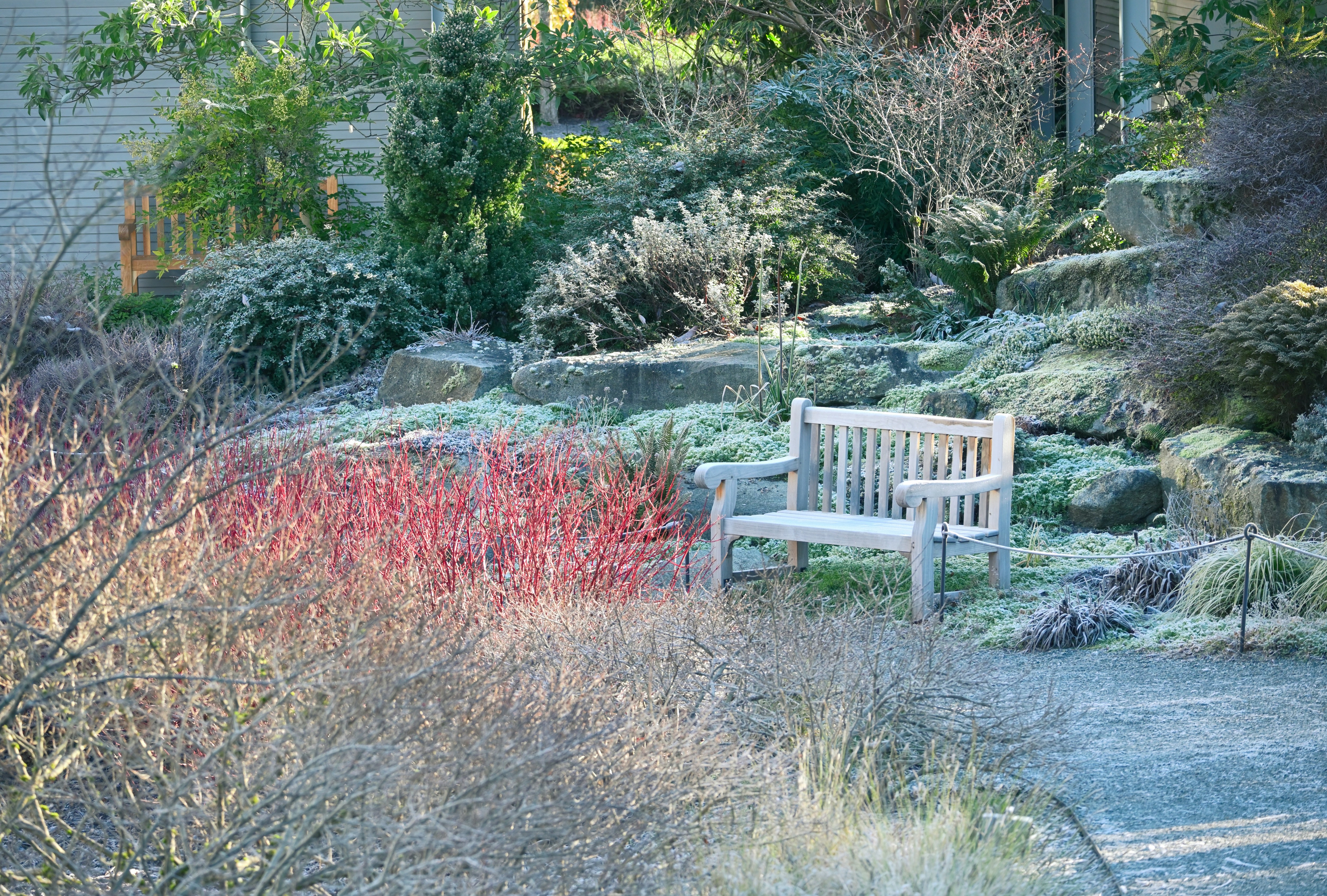 A peaceful therapy garden at a rehab center, offering a serene environment for reflection and healing. - drug rehab centers in new orleans louisiana