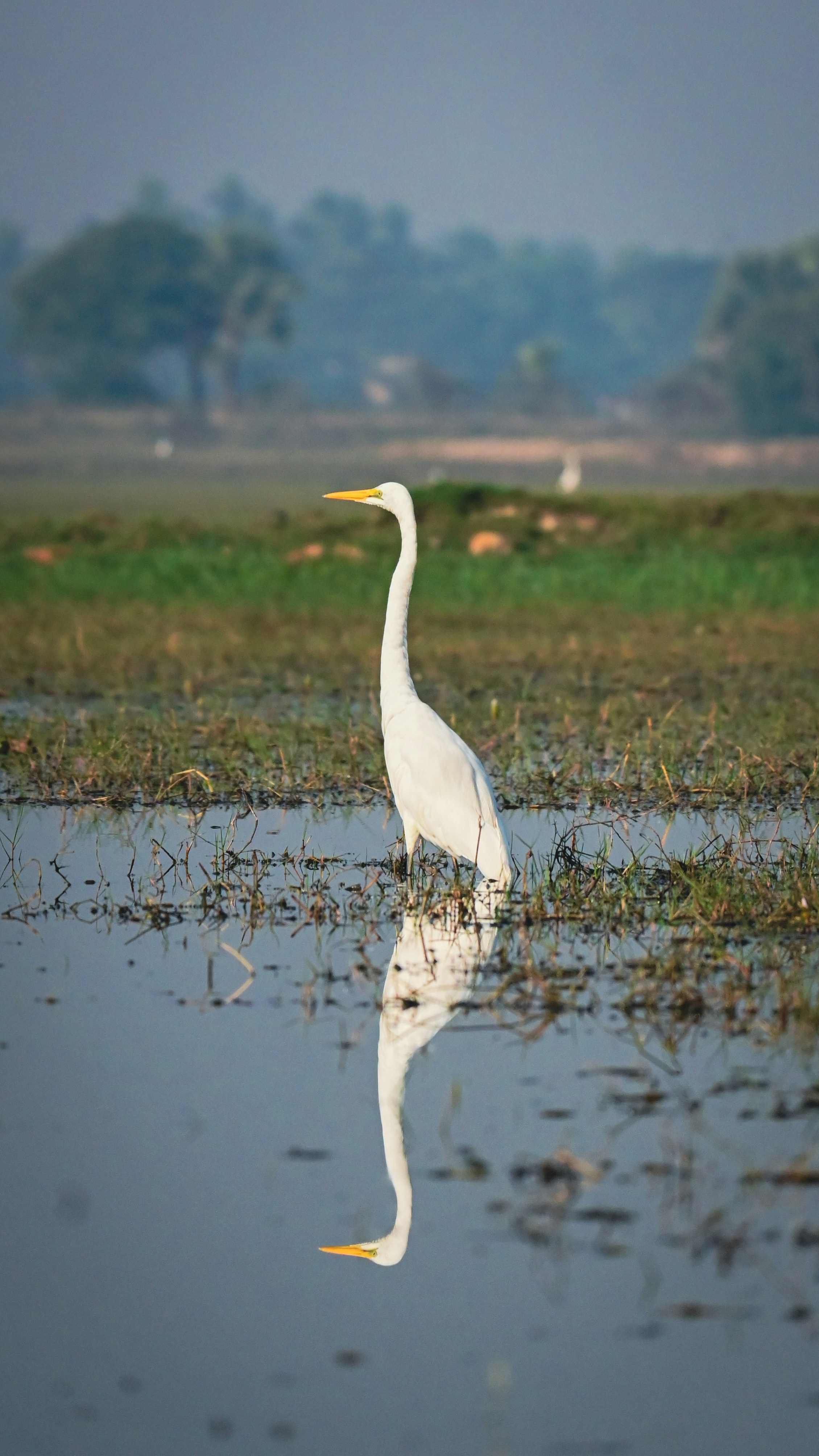 Photo by adhitya_2505