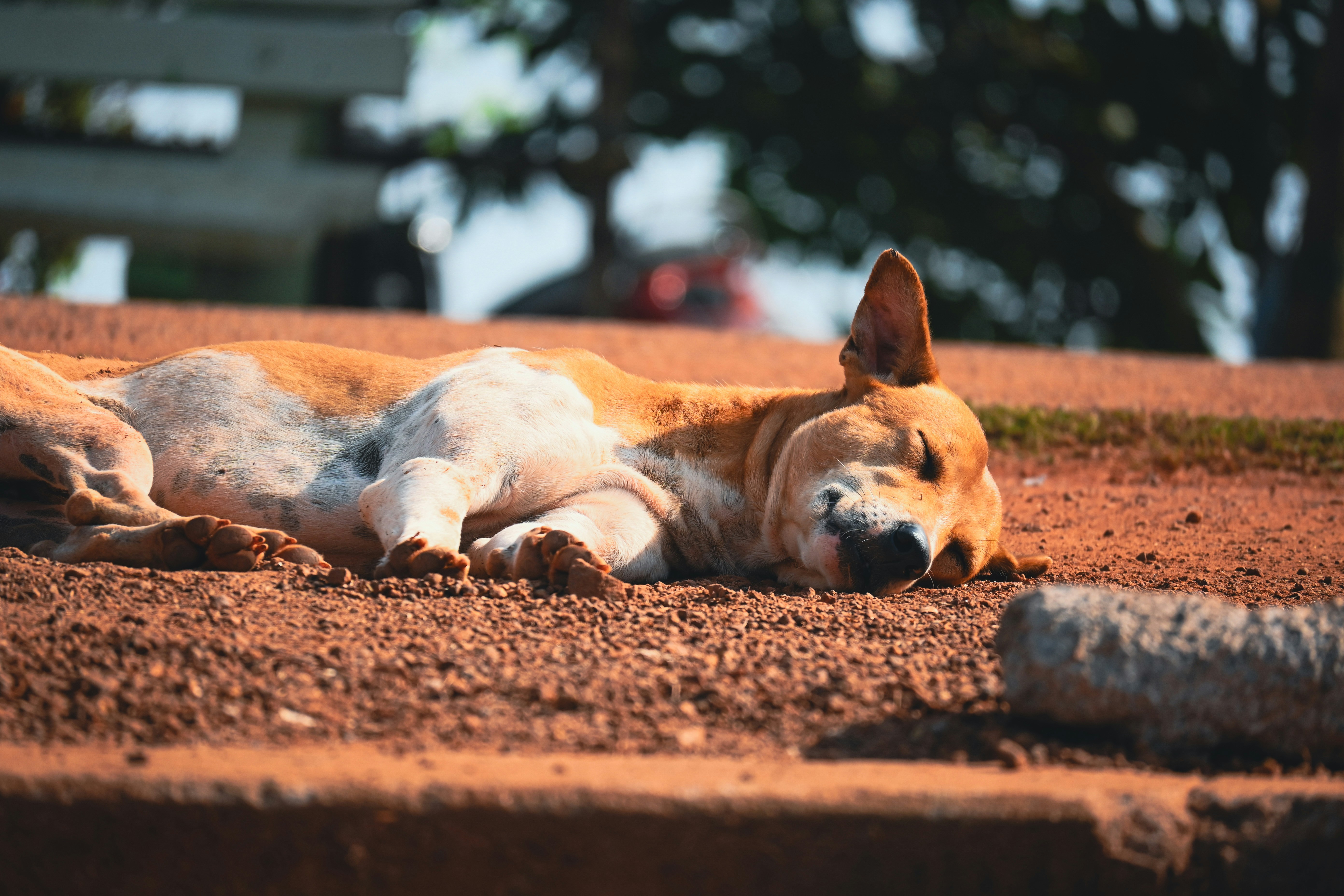 Photo by adhitya_2505