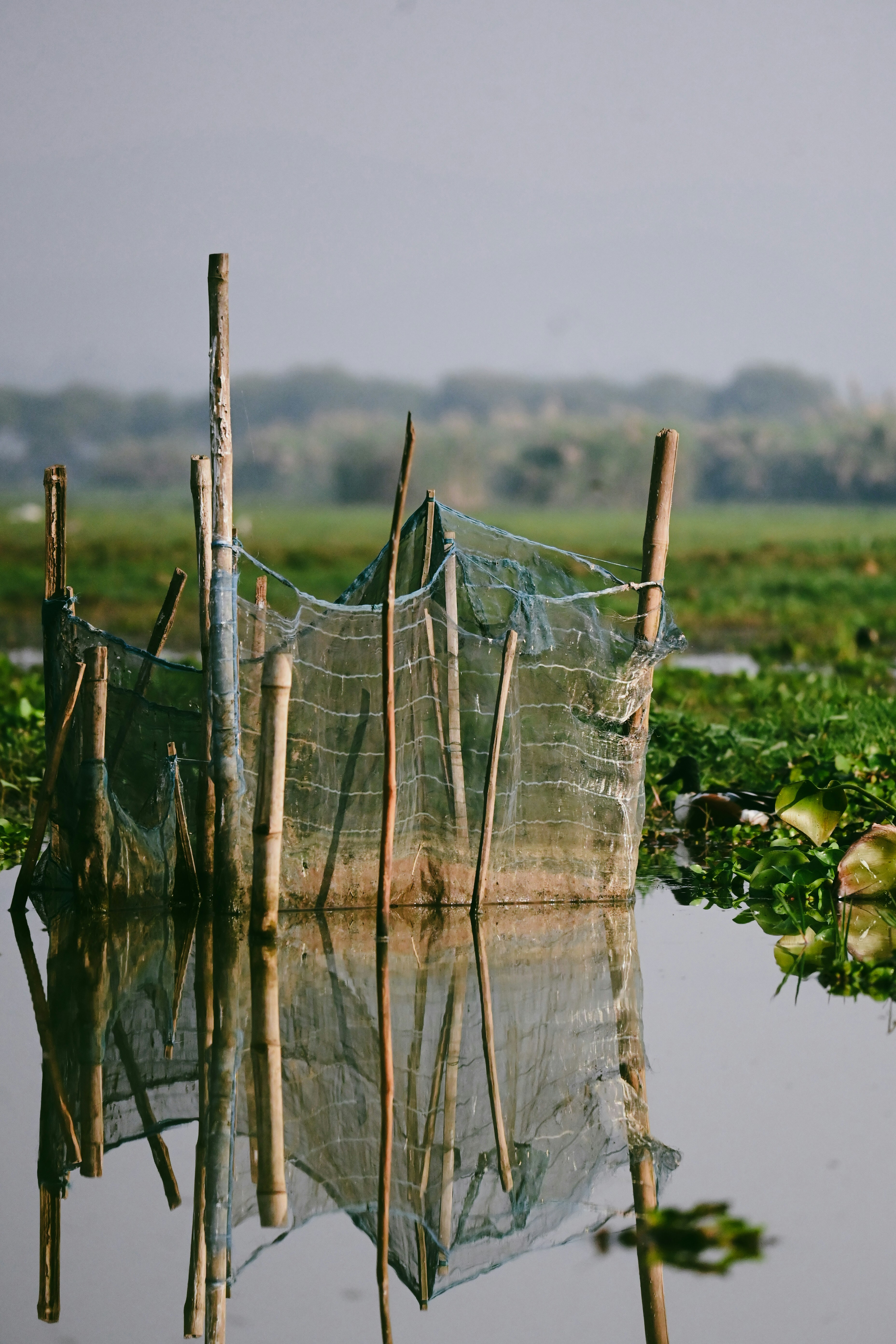 Photo by adhitya_2505