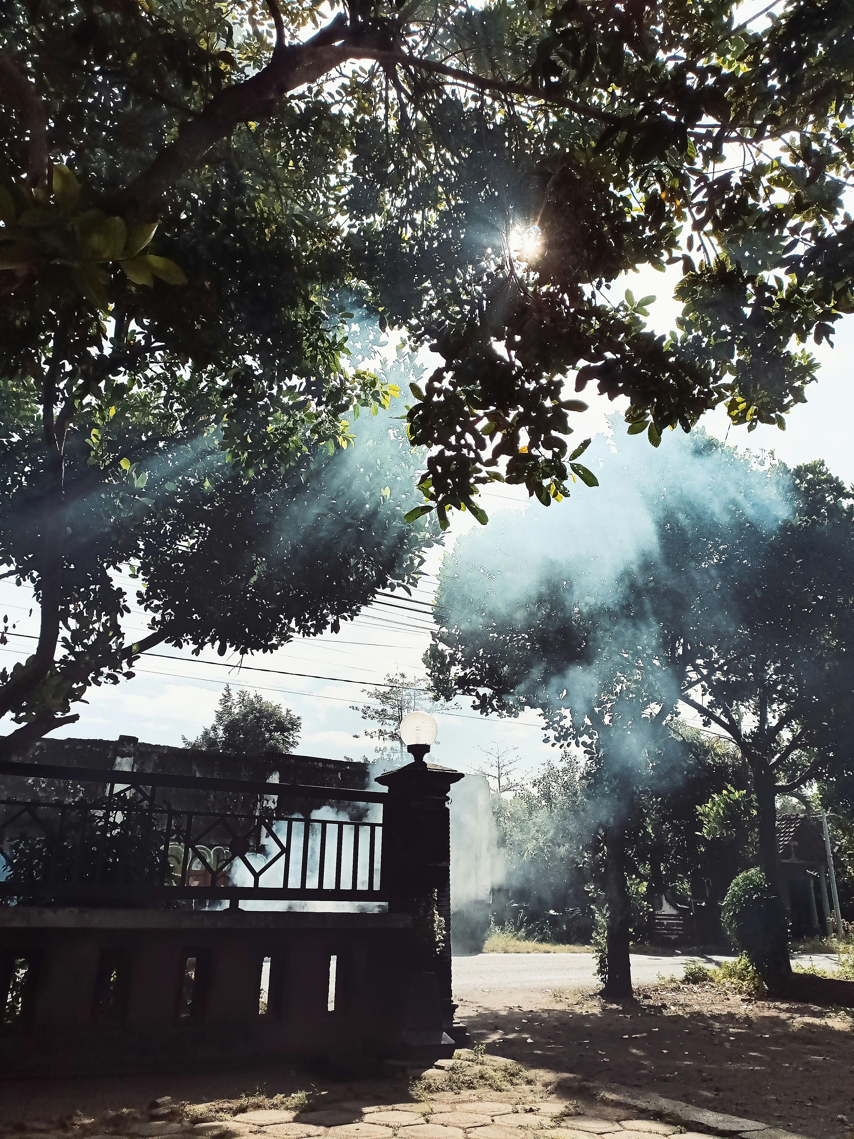 Azaria AC (@azariaac) | Komunitas Foto Unsplash