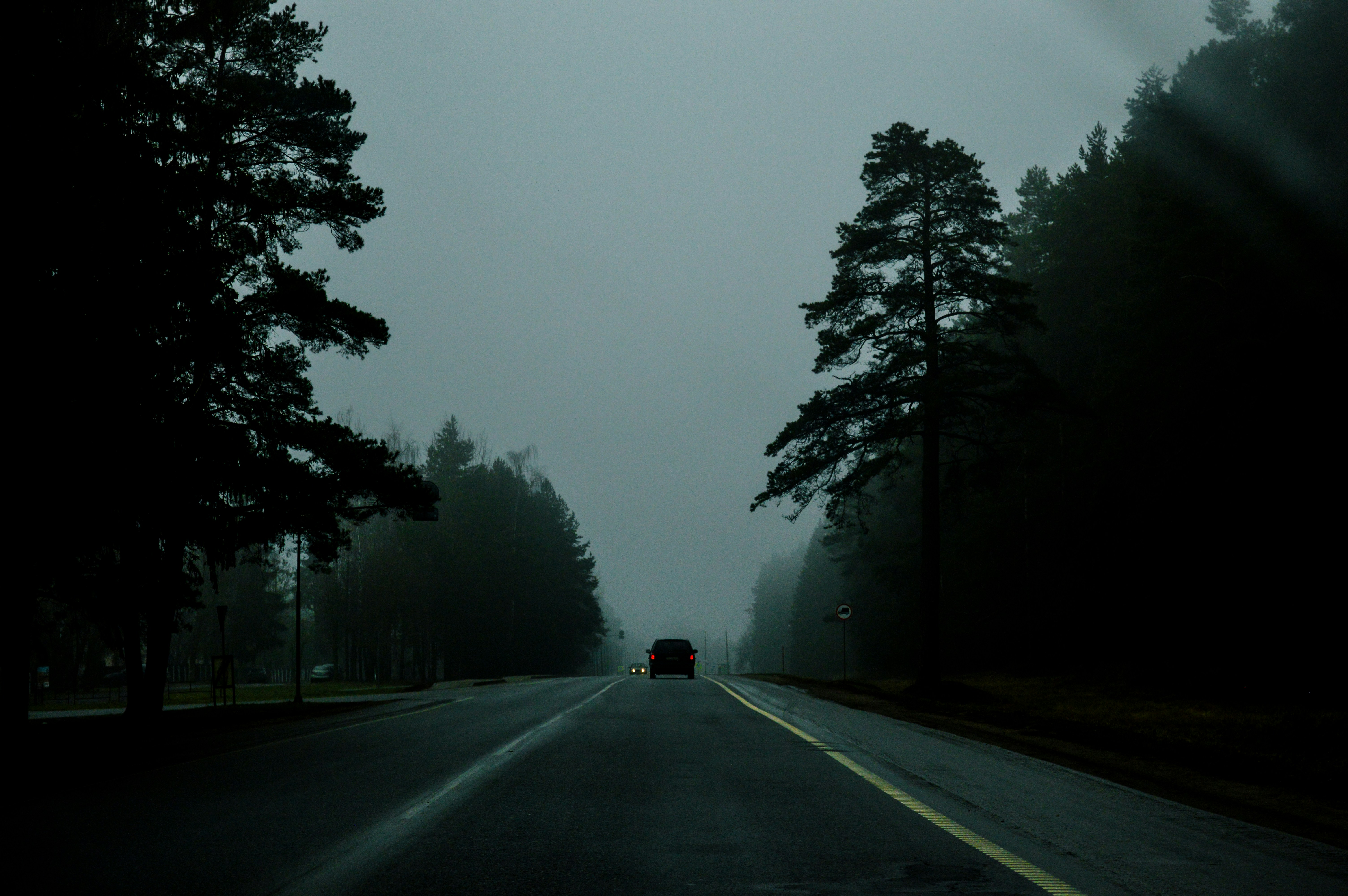 Photo by beauty_is_everywhere