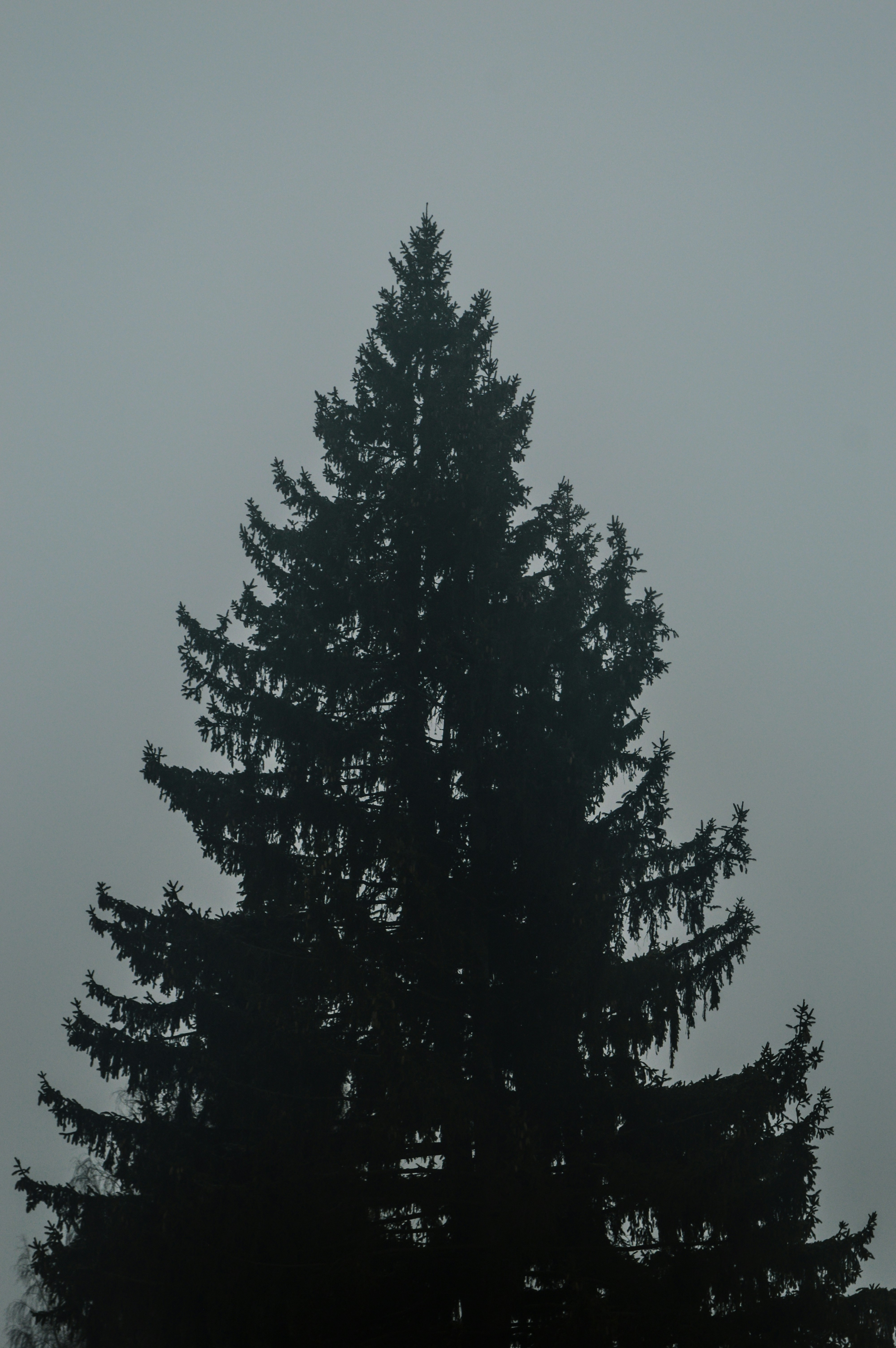 Photo by beauty_is_everywhere