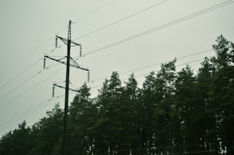 A stop sign on the side of a road