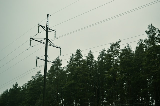 A stop sign on the side of a road