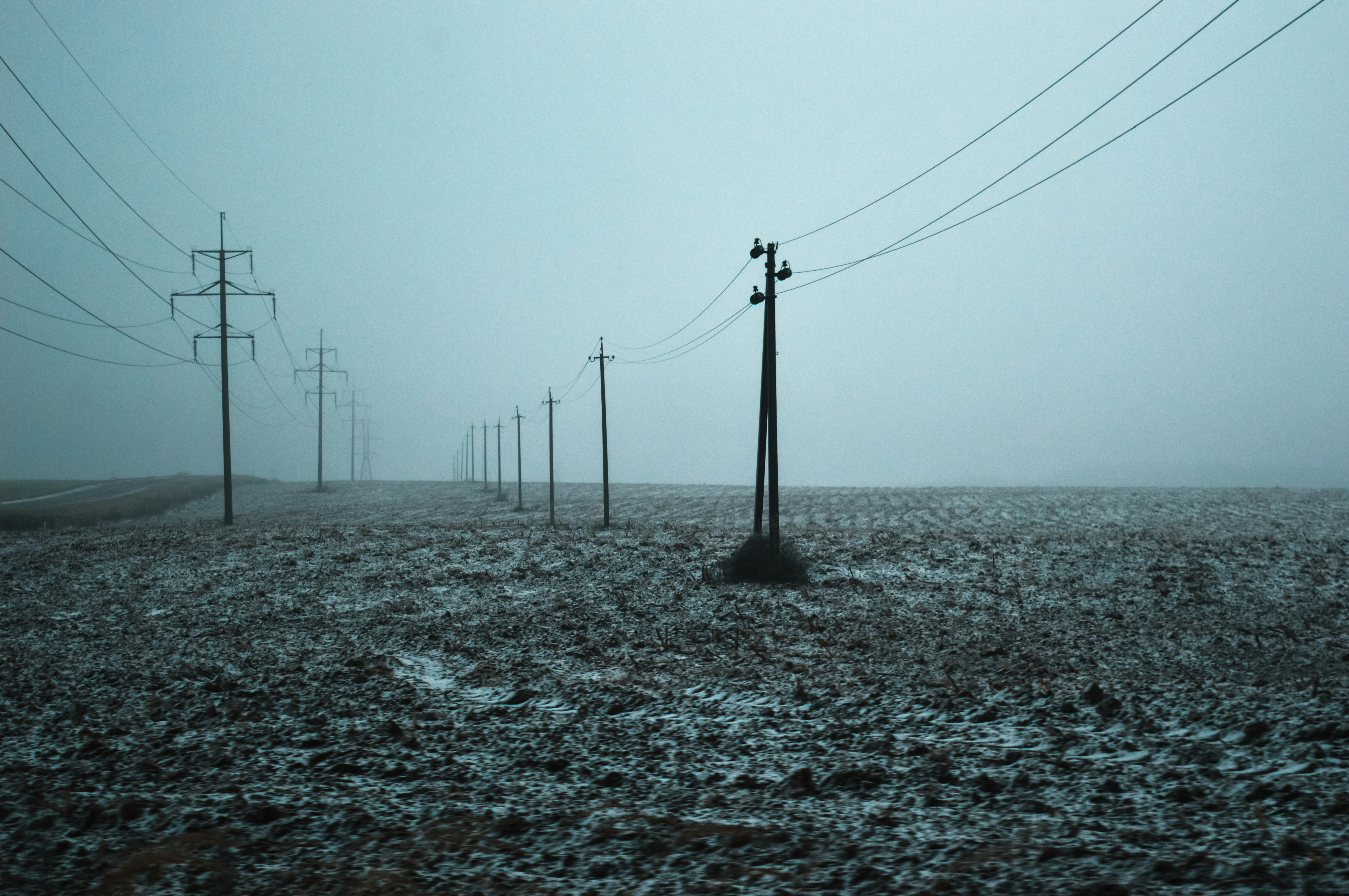 Photo by beauty_is_everywhere