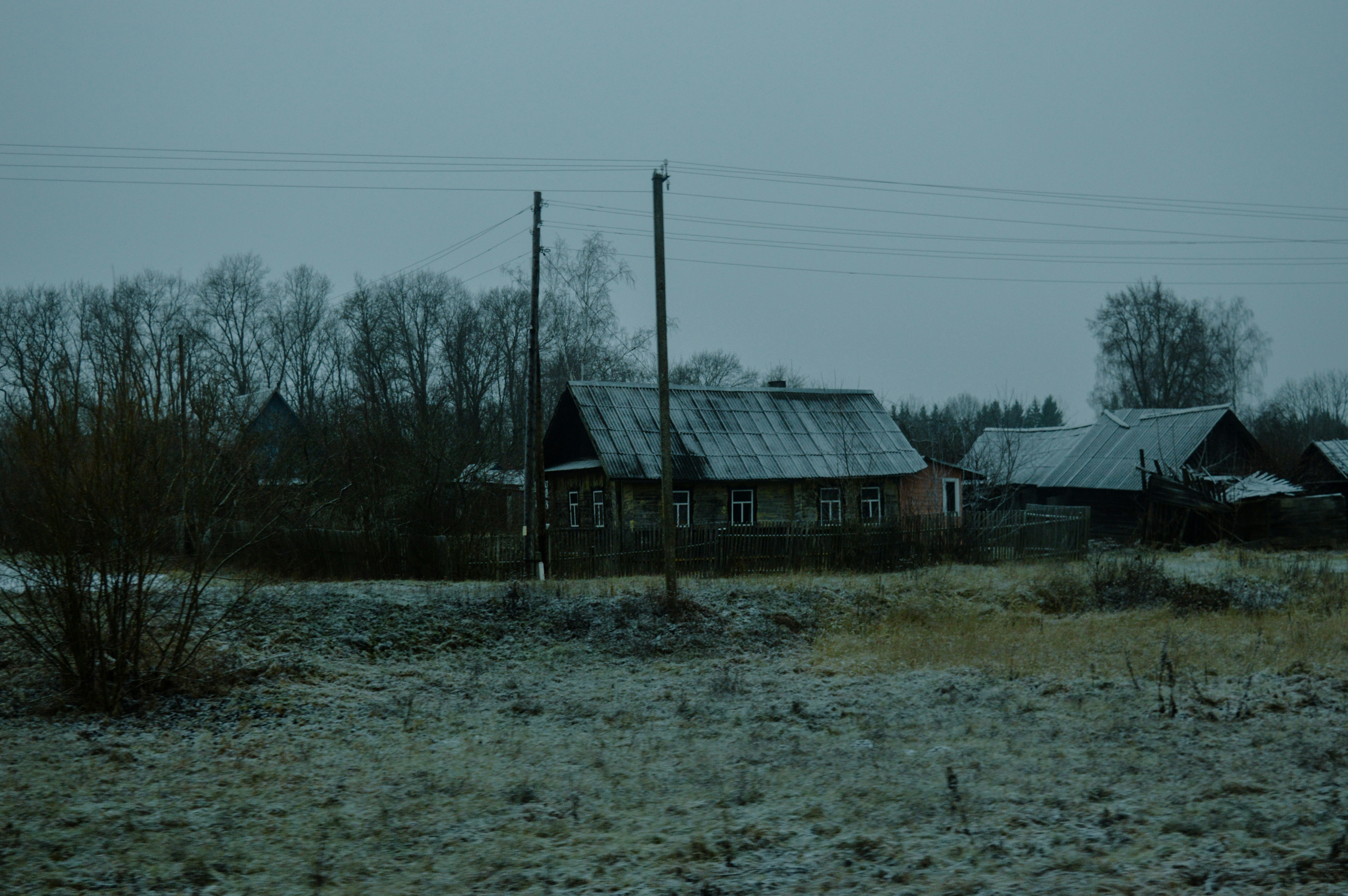 Photo by beauty_is_everywhere