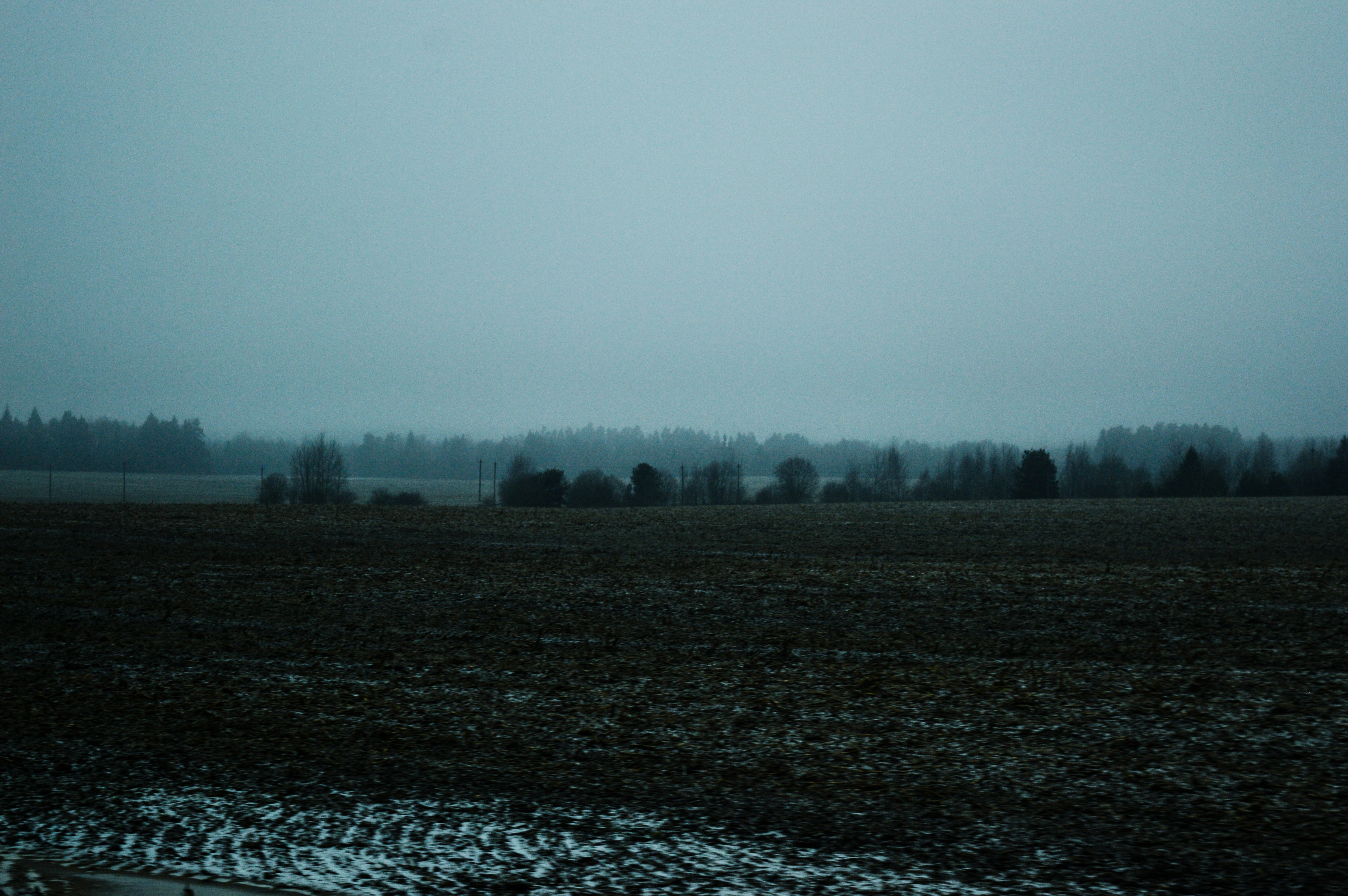 Photo by beauty_is_everywhere