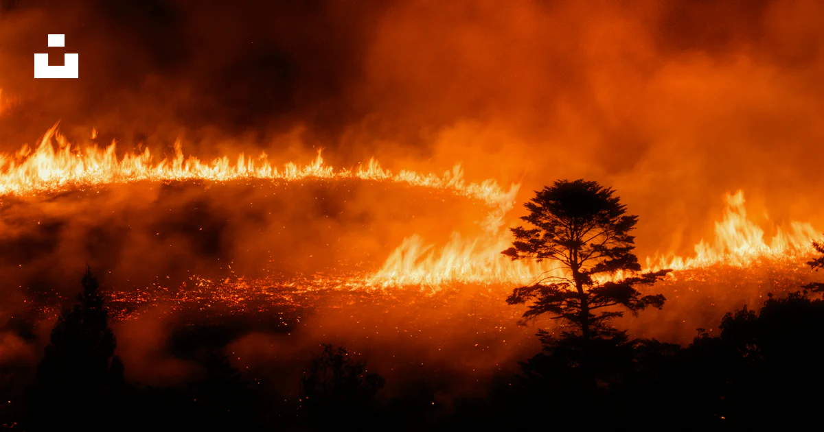 A large fire is burning in a field photo – Free Japan Image on Unsplash