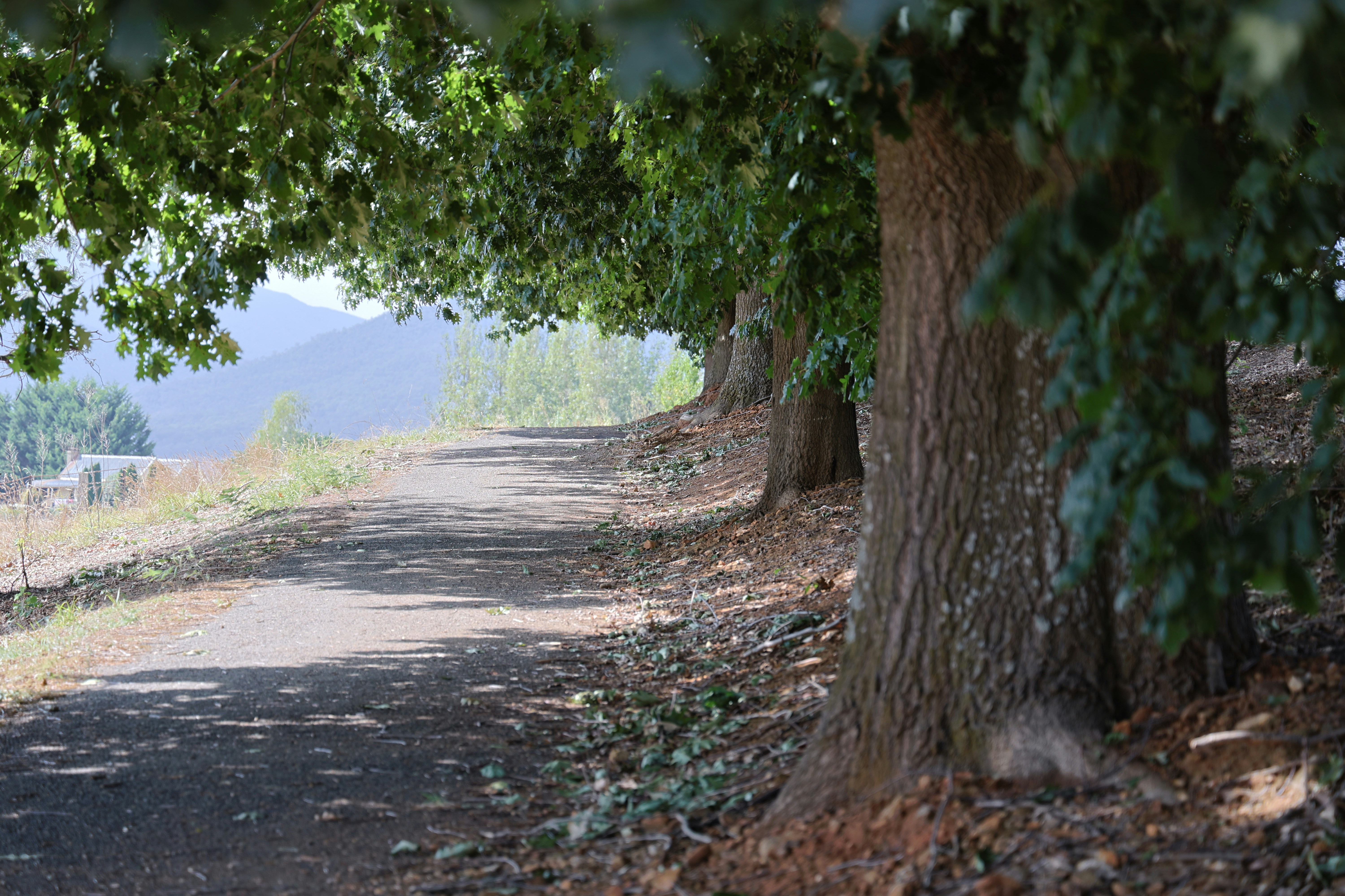 Photo by deraileddrips