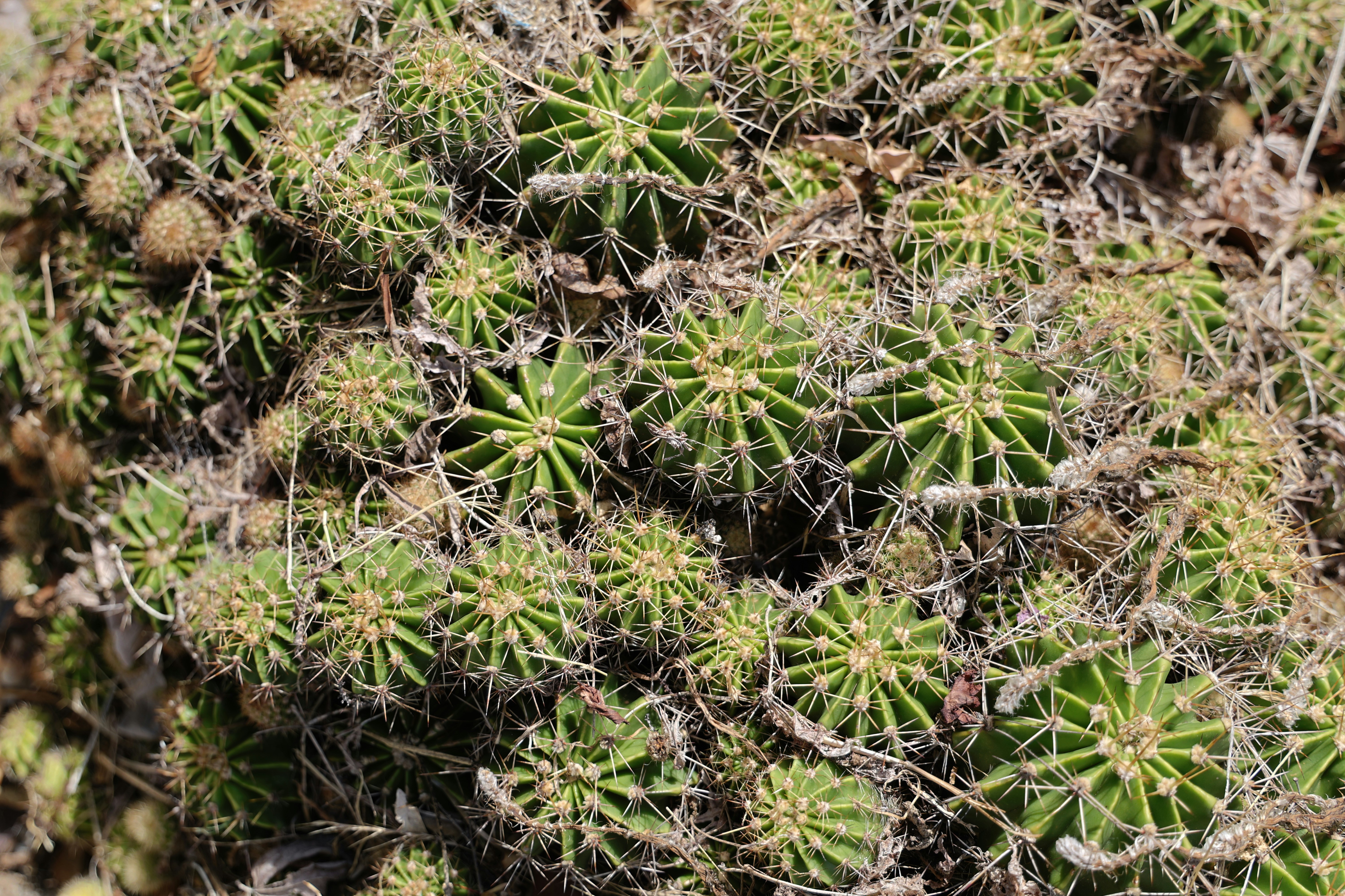 Photo by street_level_studio