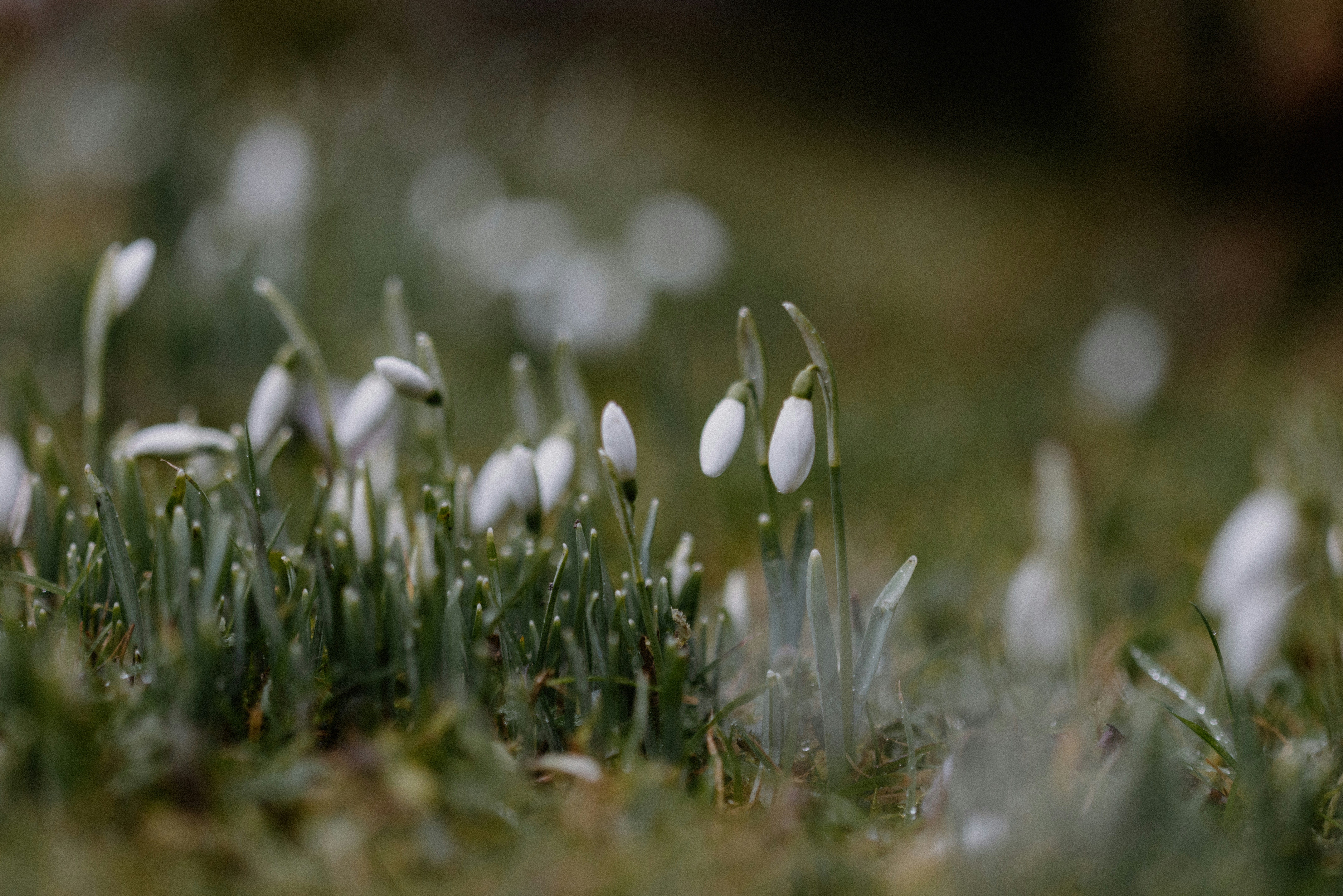 Photo by anniespratt