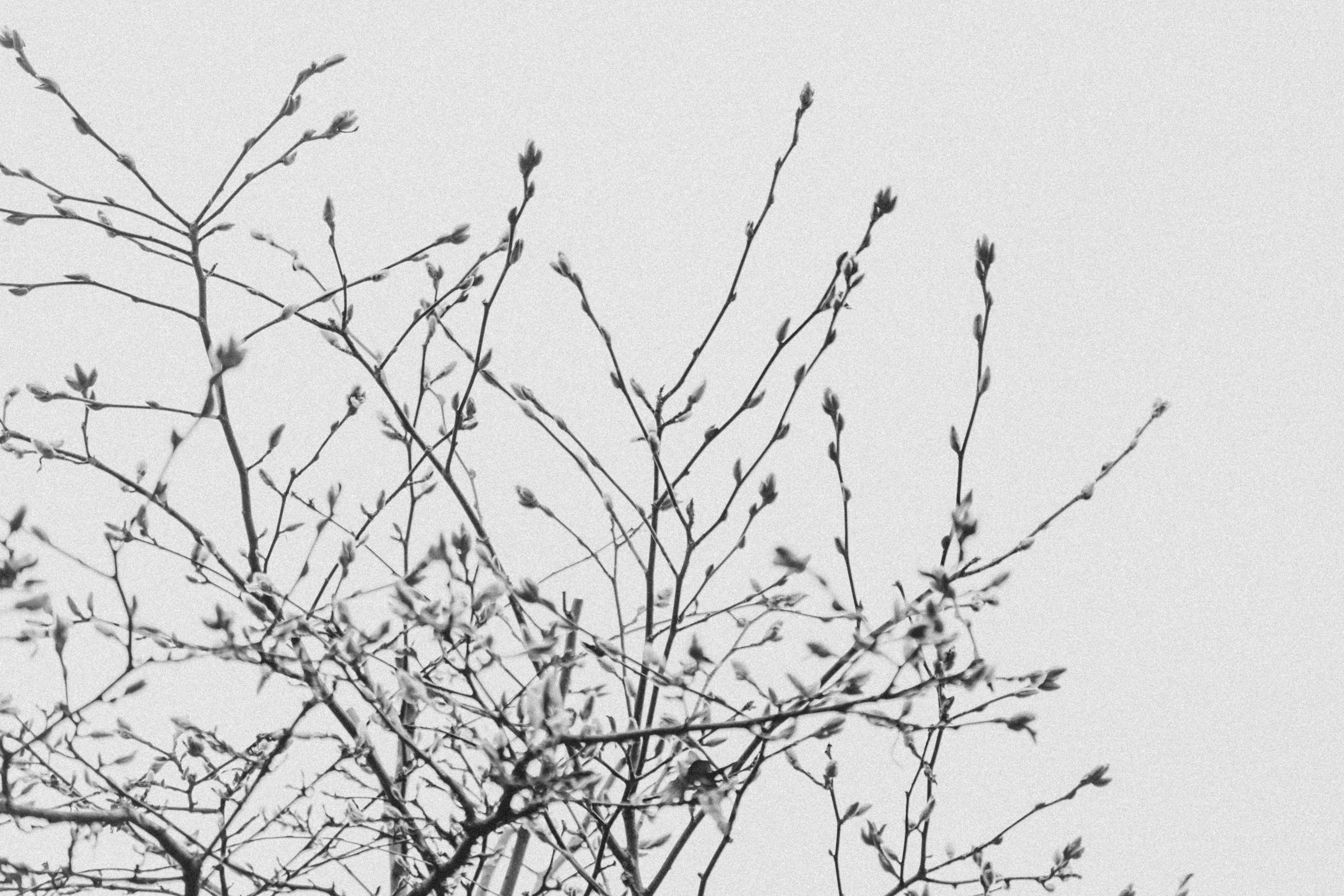 Photo by anniespratt