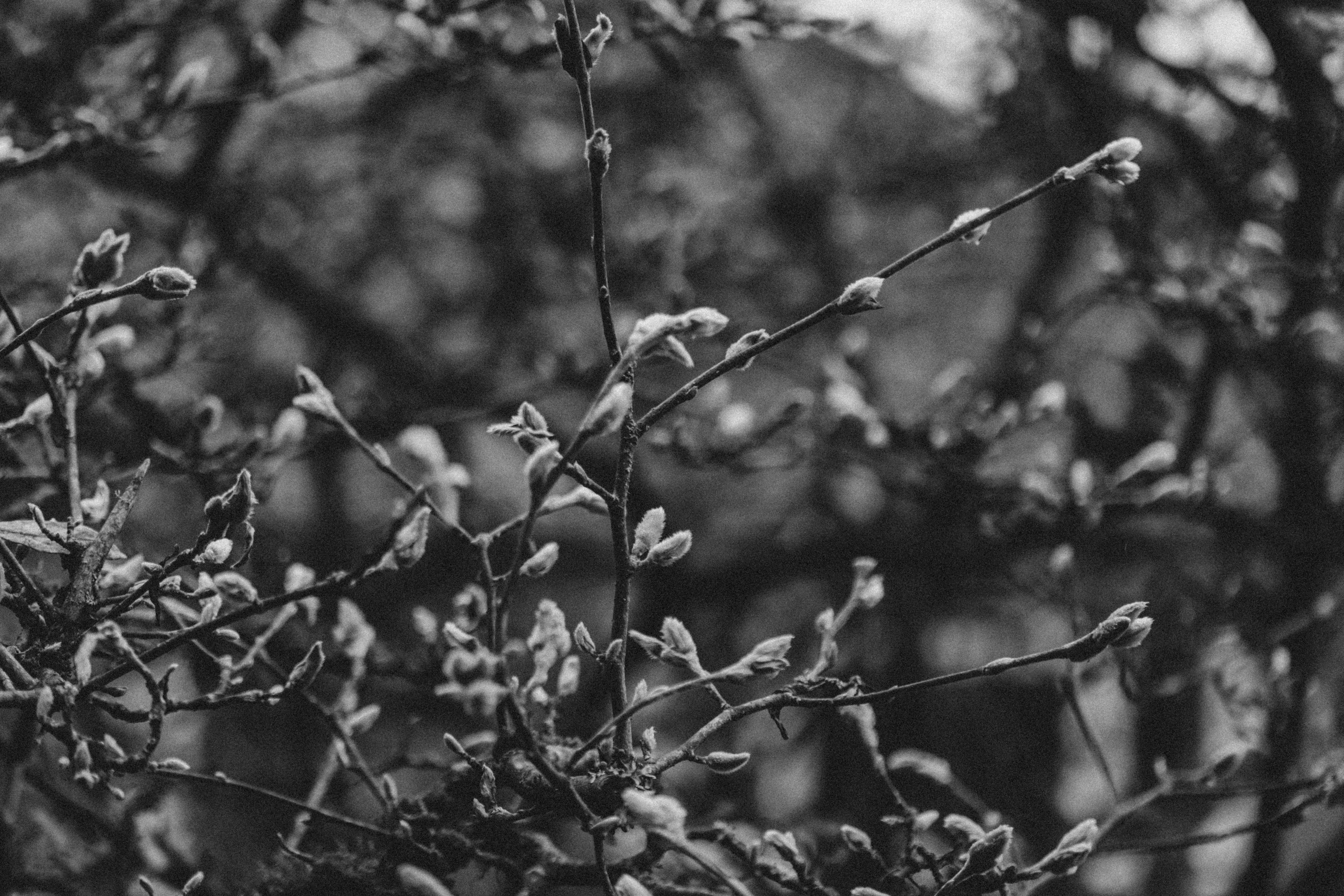 Photo by anniespratt