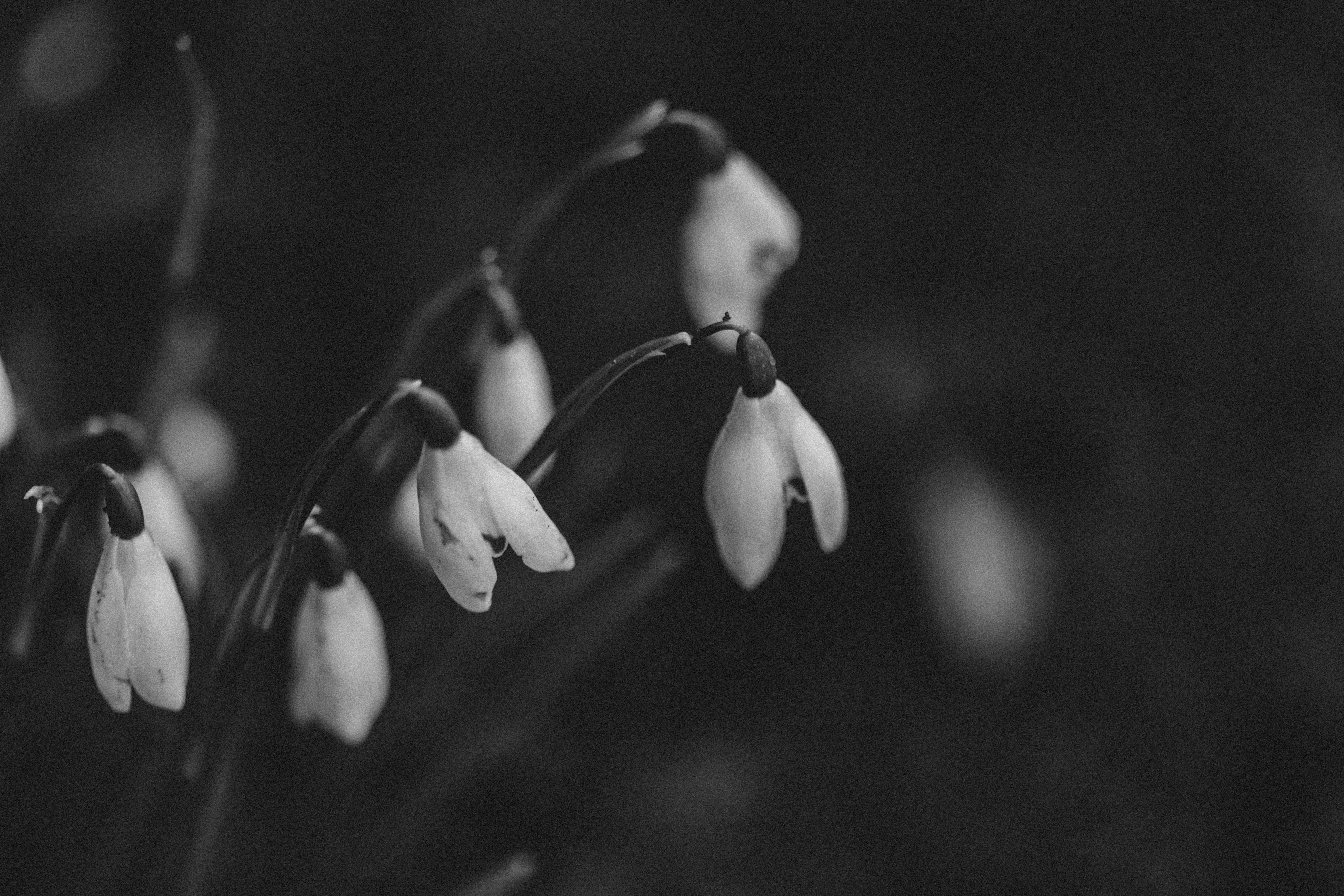 Photo by anniespratt