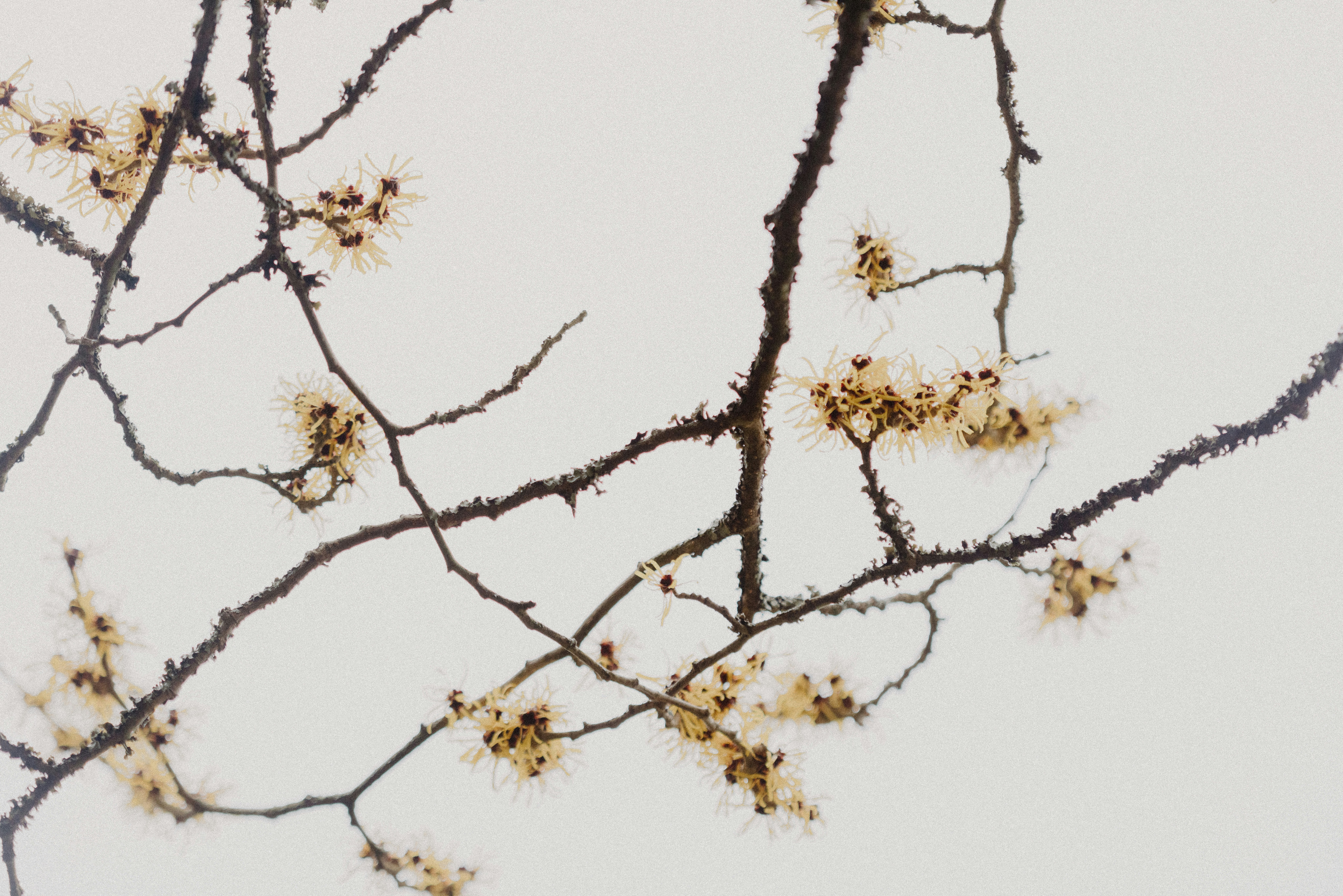 Photo by anniespratt